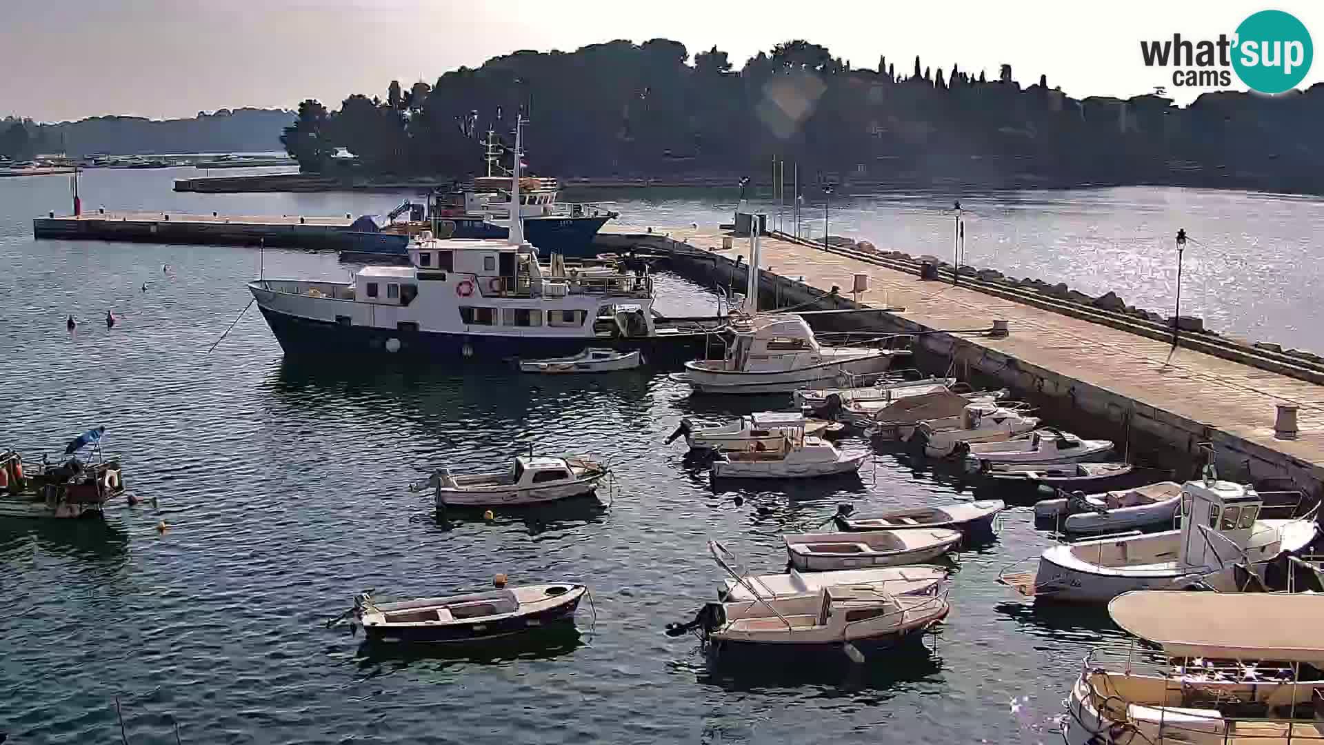 Spletna kamera Rovinj promenada in marina | Rovinj Vreme