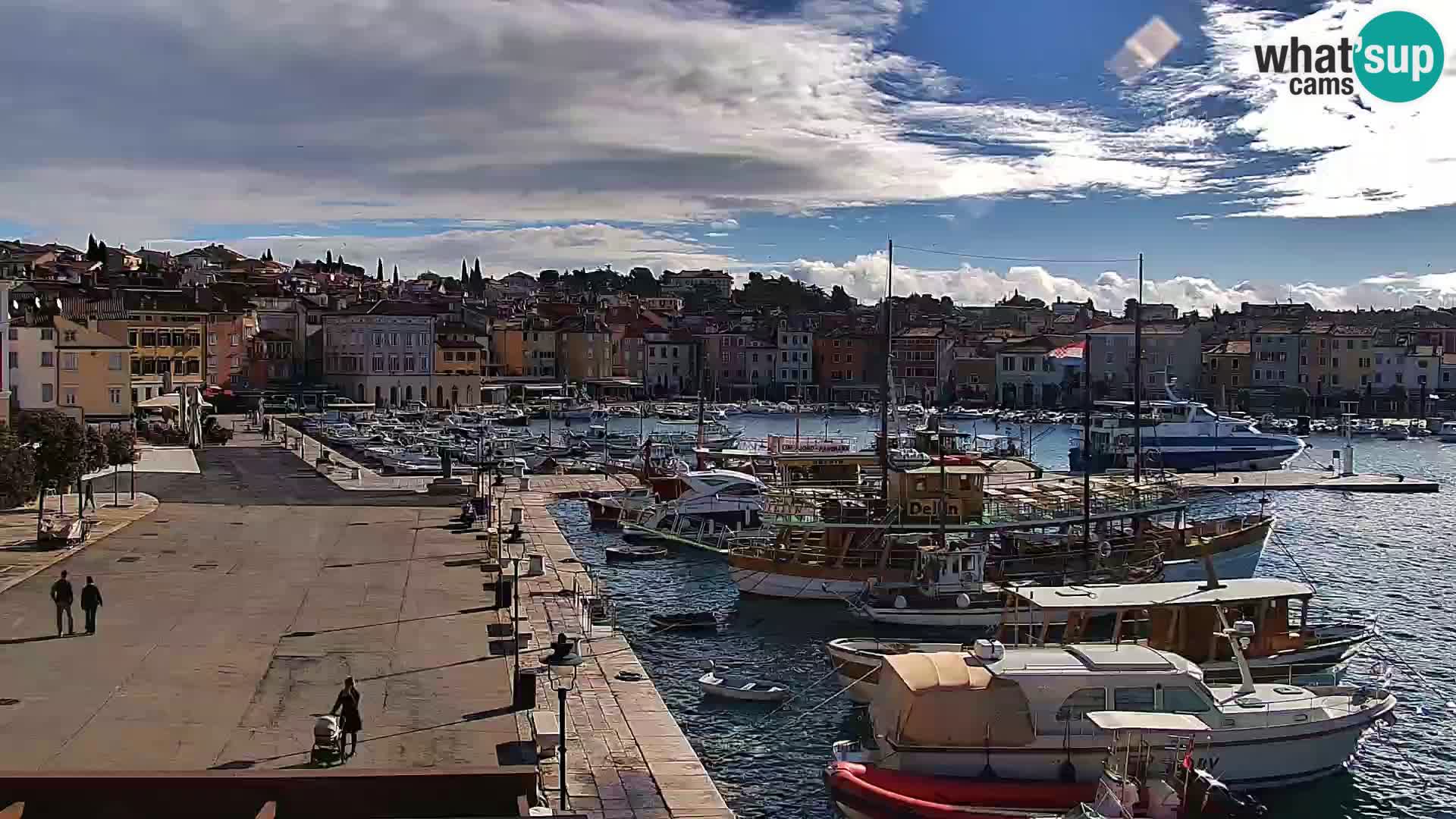 Promenada in marina v Rovinju