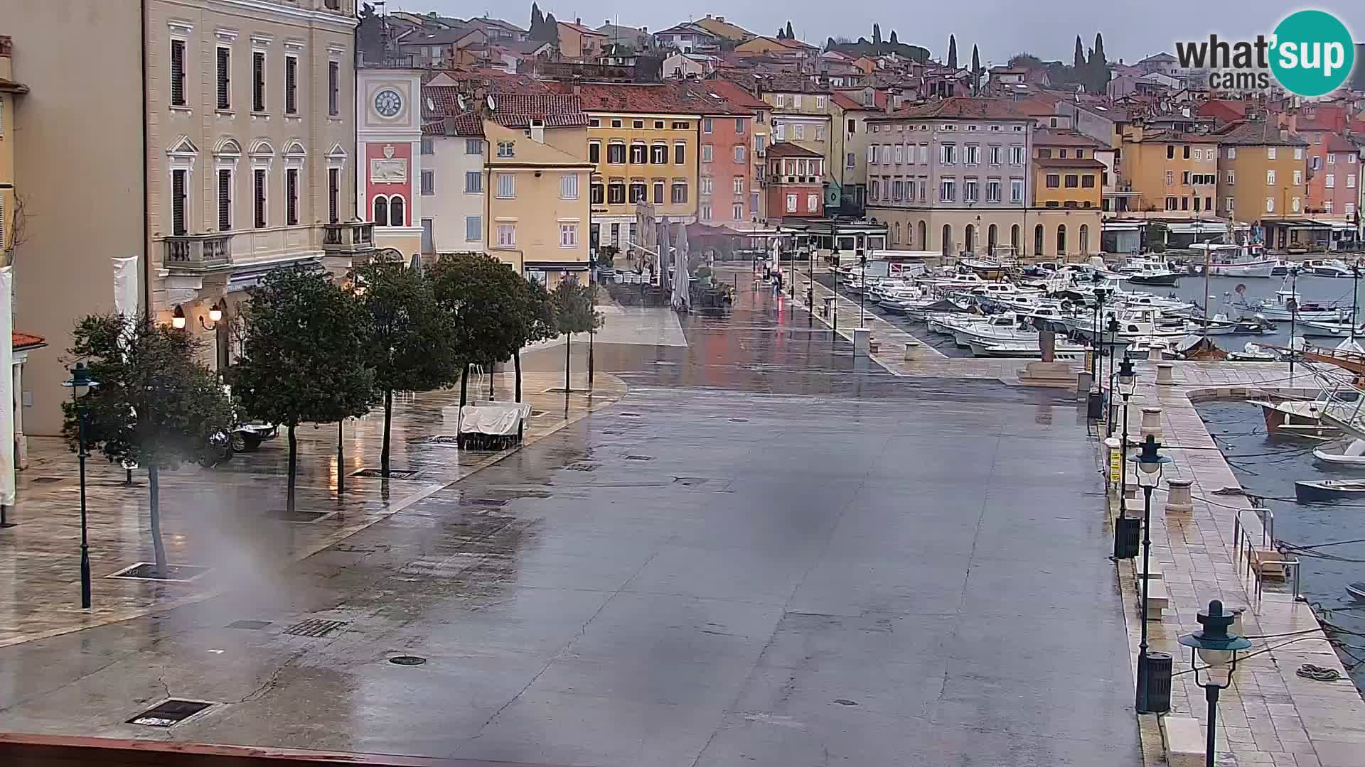 Seaside promenade and marina in Rovinj webcam – Istria – Croatia