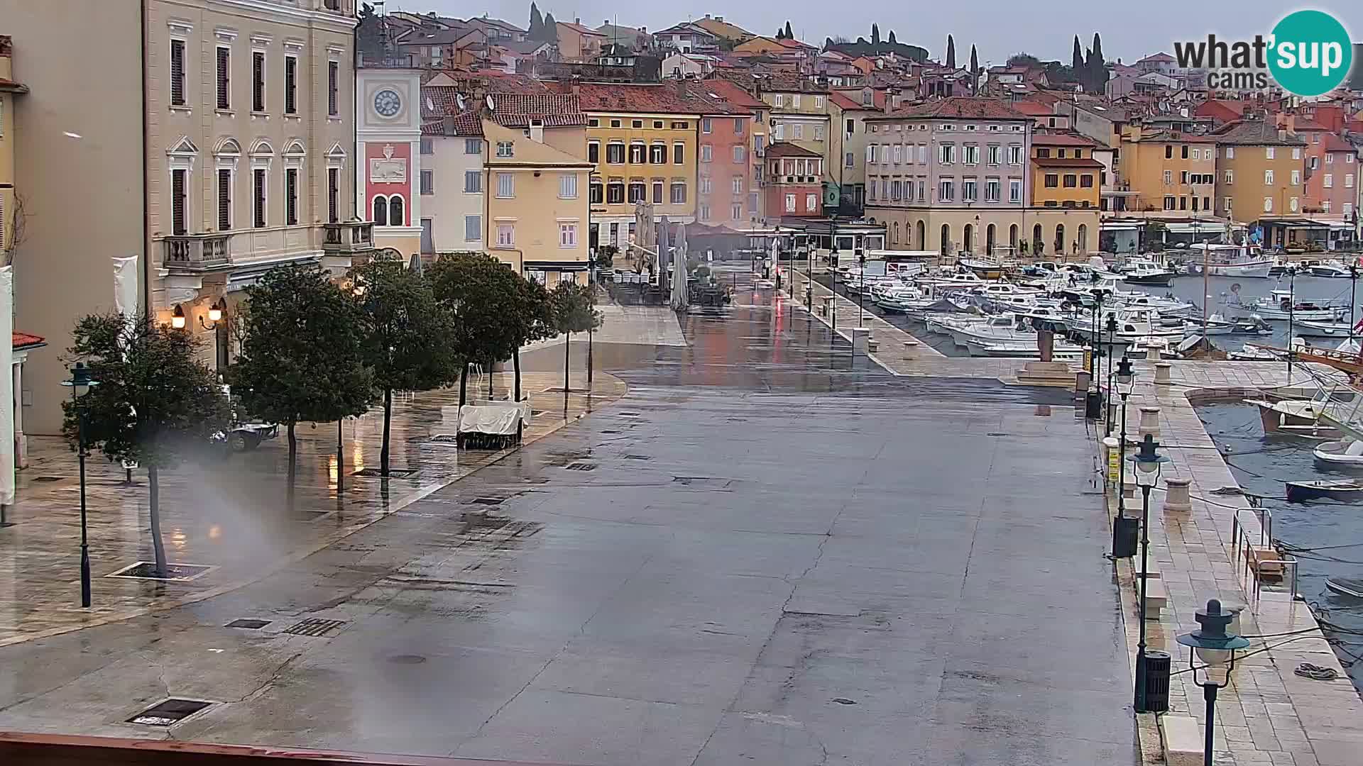 Rovinj webcam promenade and marina – Istria – Croatia