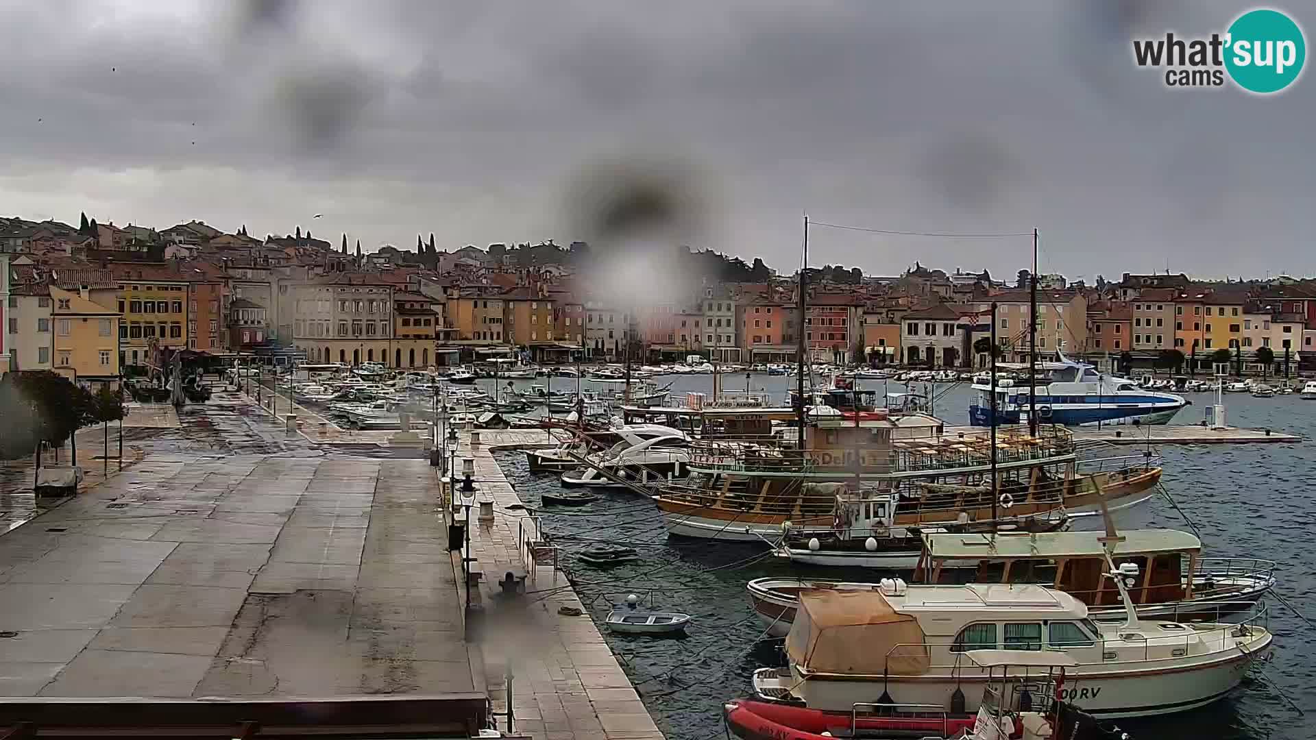 Promenade e marina en Rovinj