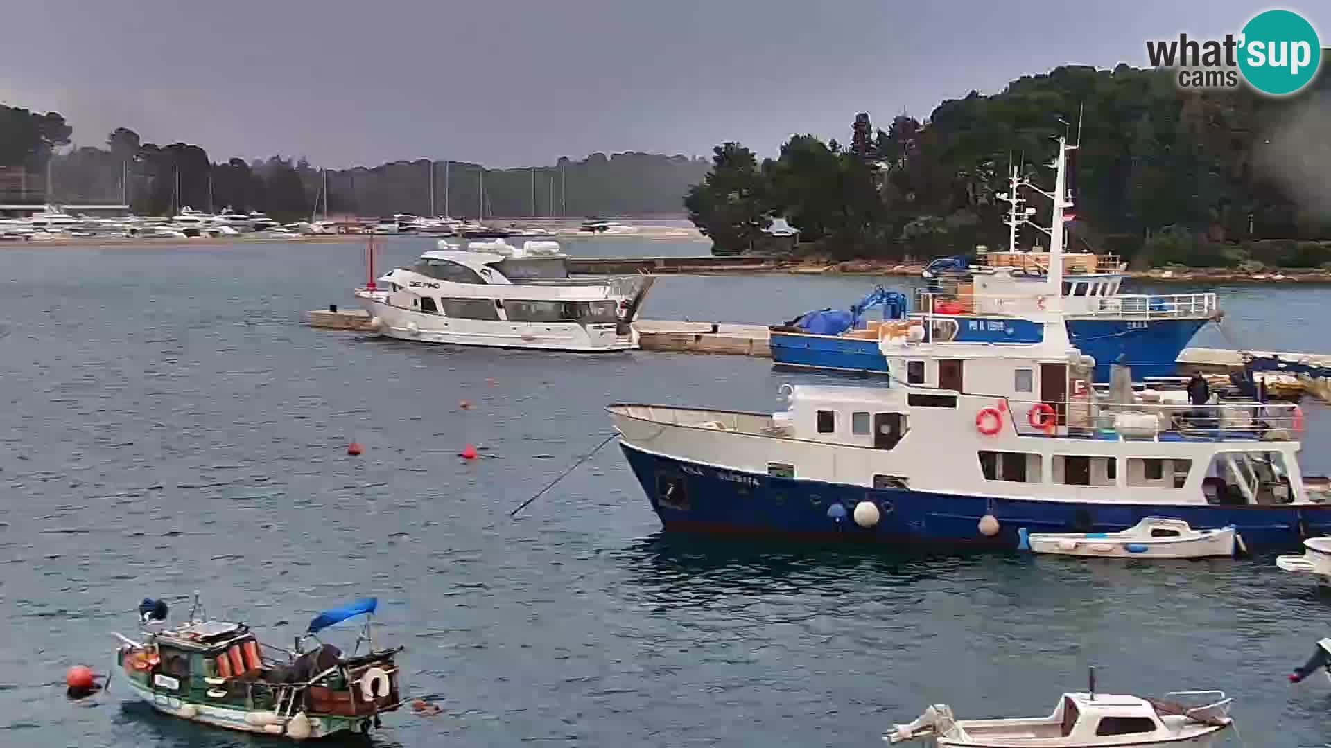 Promenade e marina en Rovinj