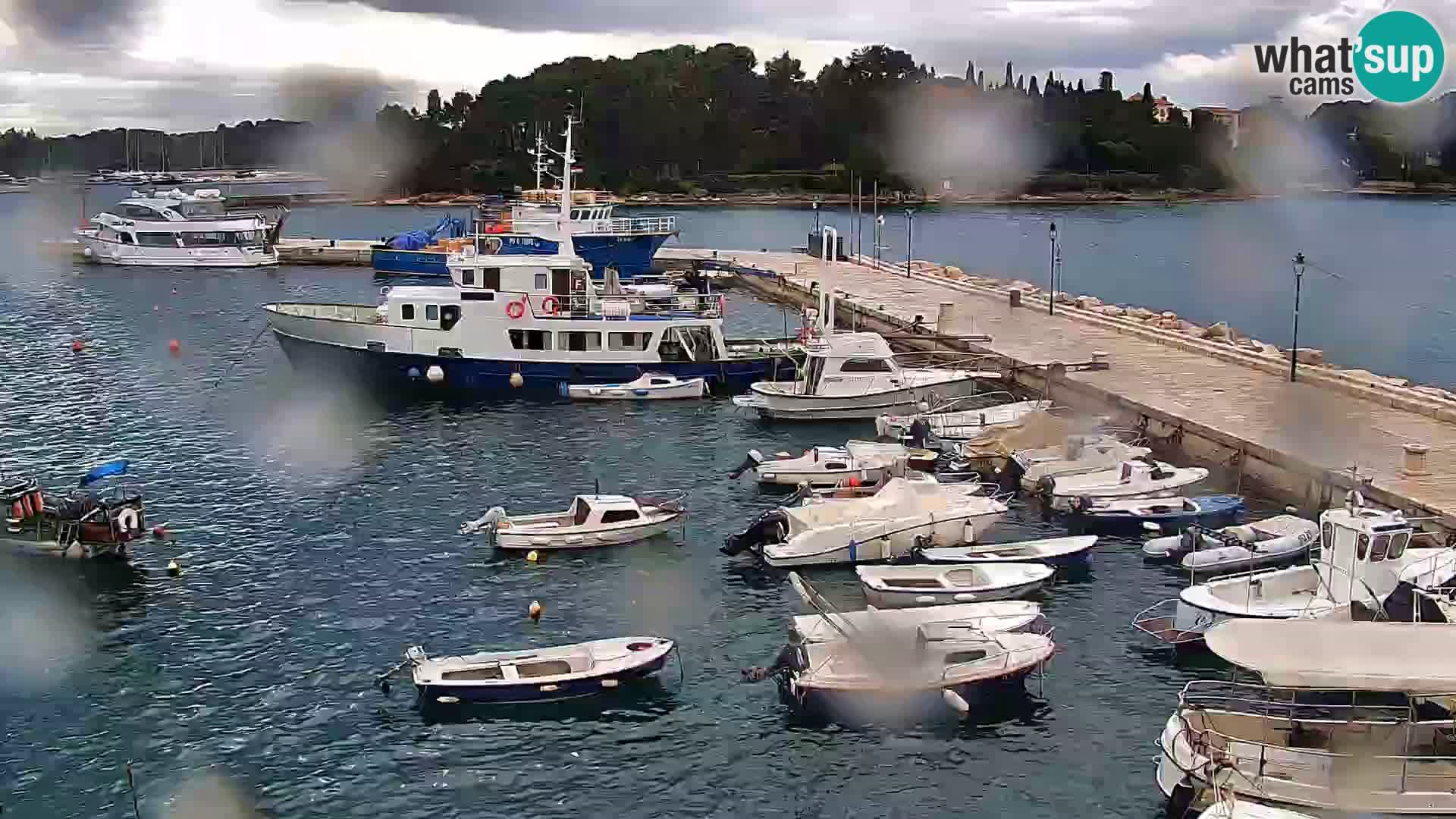 Promenade e marina a Rovinj