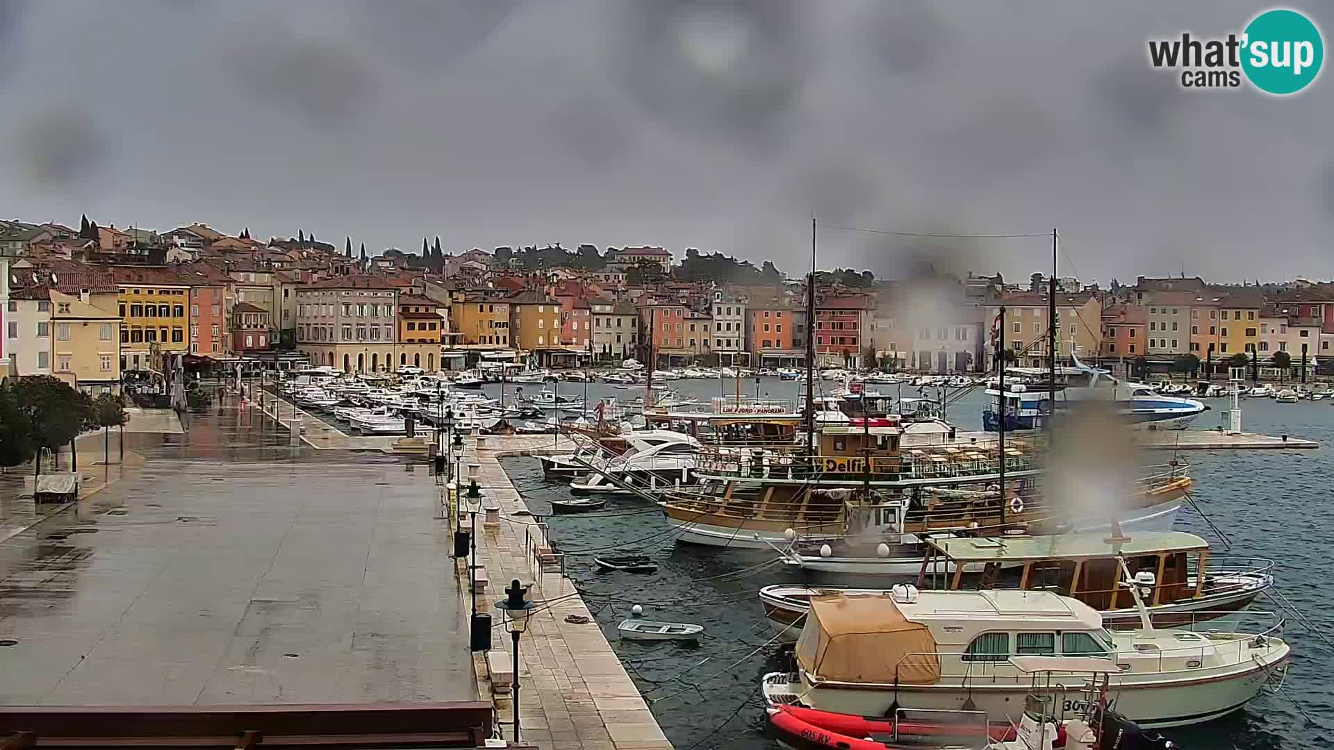 Rovinj webcam promenade and marina – Istria – Croatia