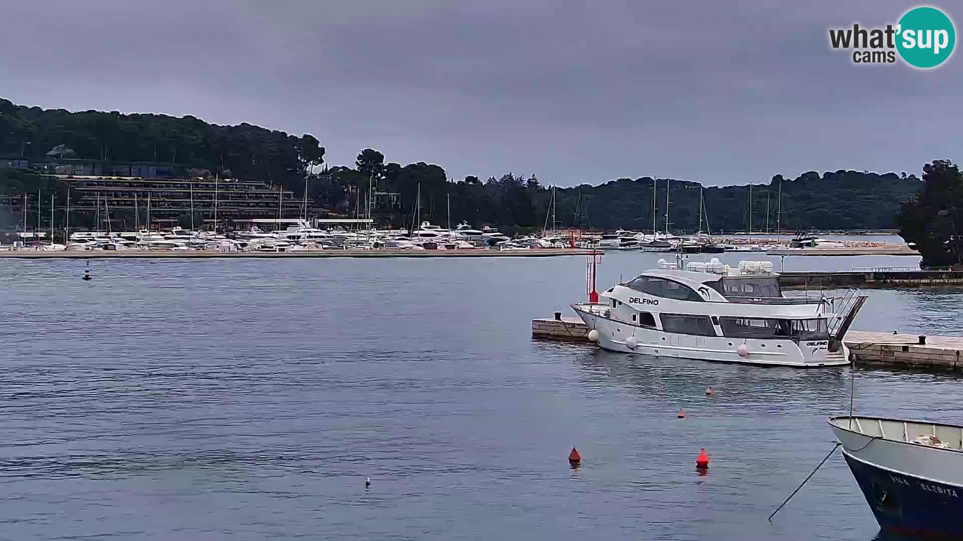 Spletna kamera Rovinj promenada in marina | Rovinj Vreme