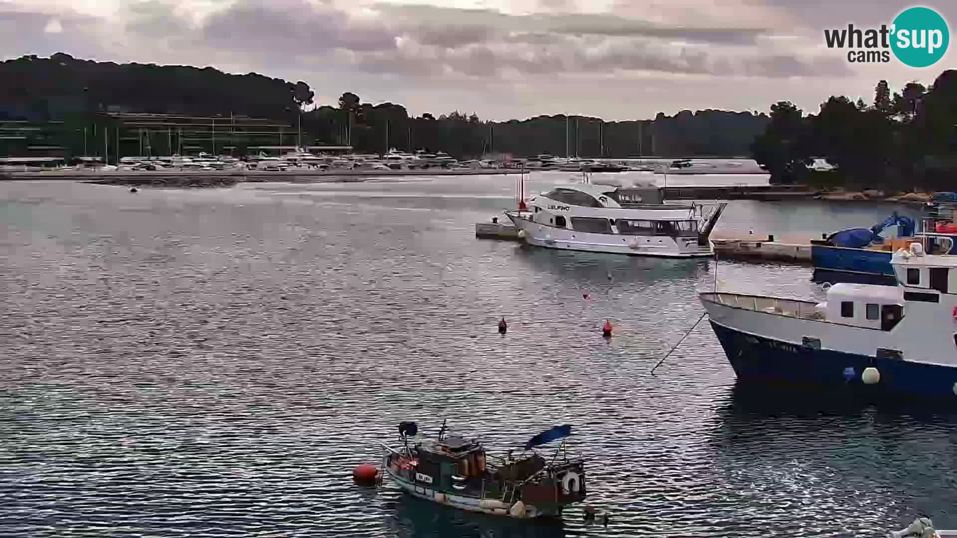 Promenade e marina a Rovinj