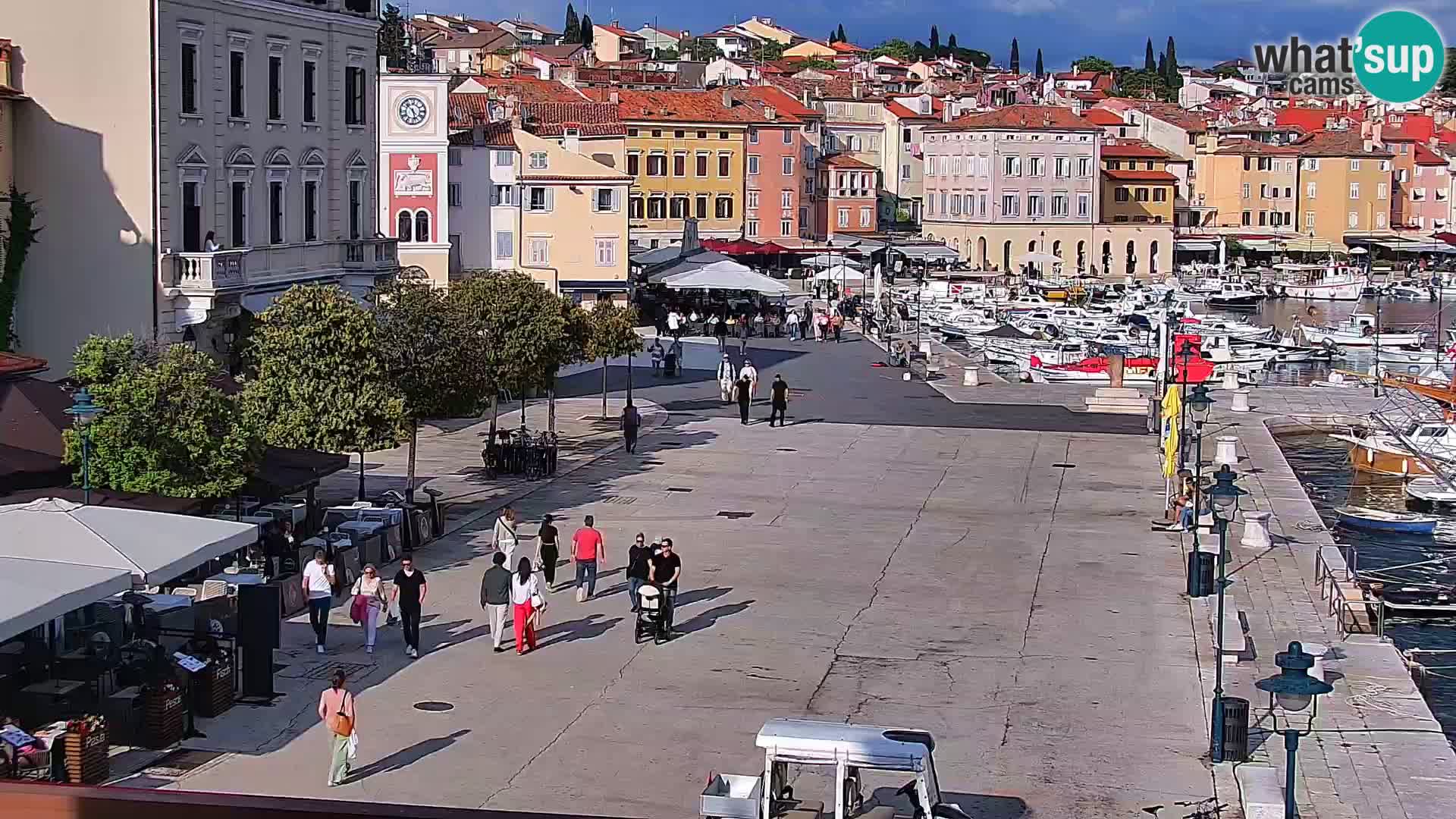 Rovinj webcam promenade and marina – Istria – Croatia
