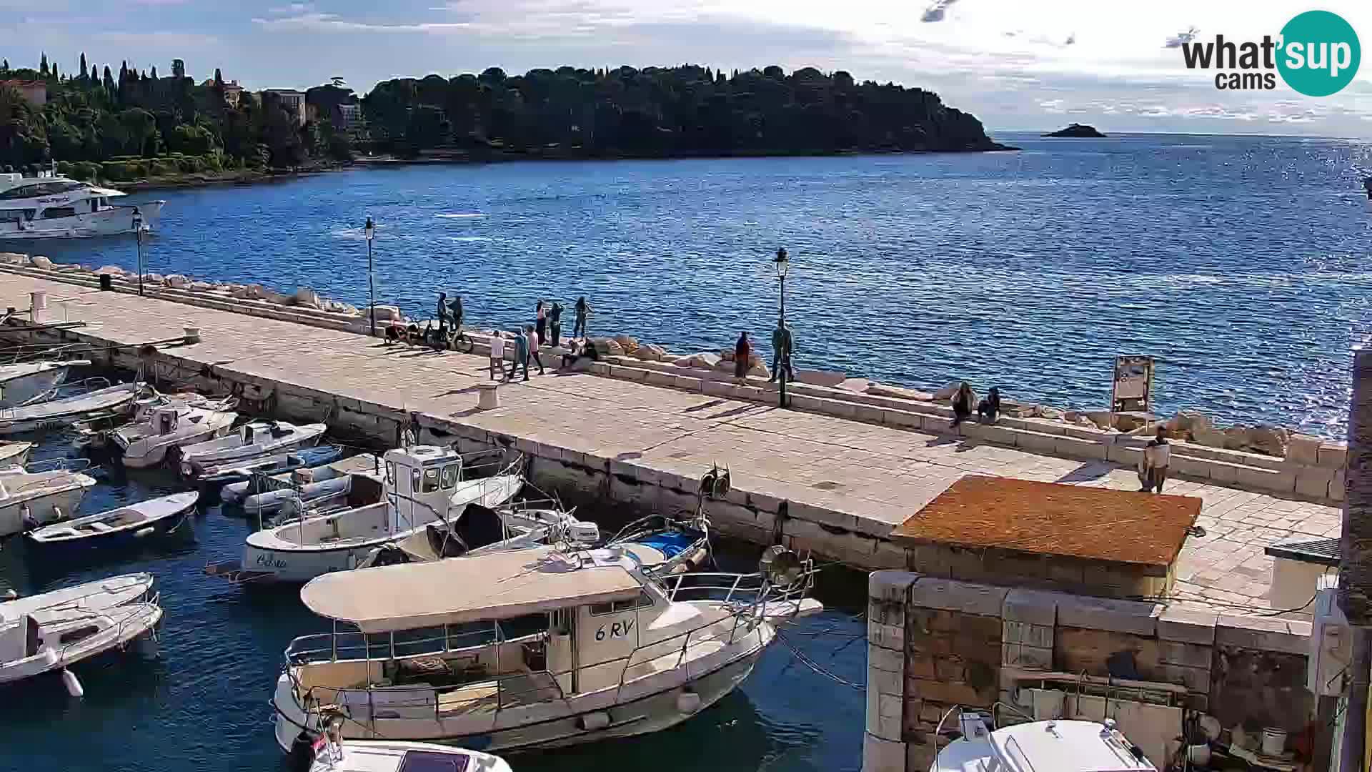 Promenada i marina u Rovinju