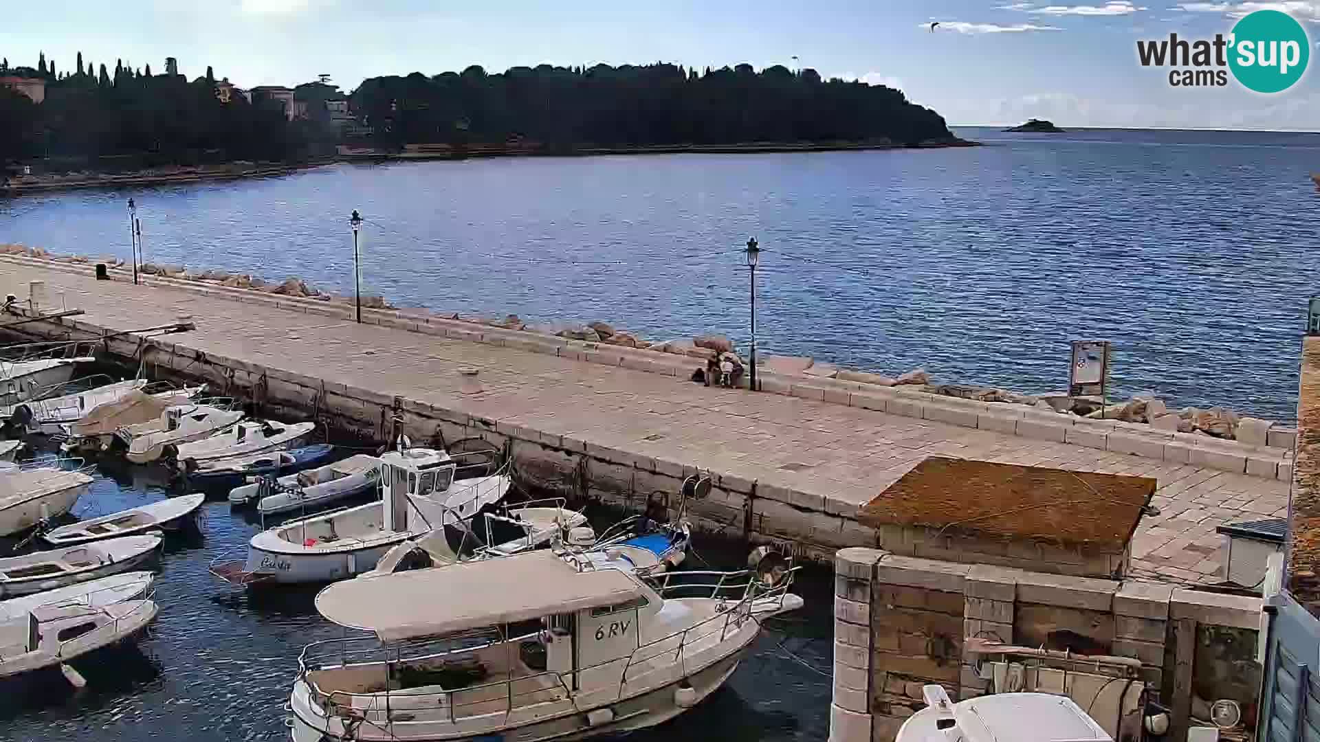 Promenade e marina en Rovinj