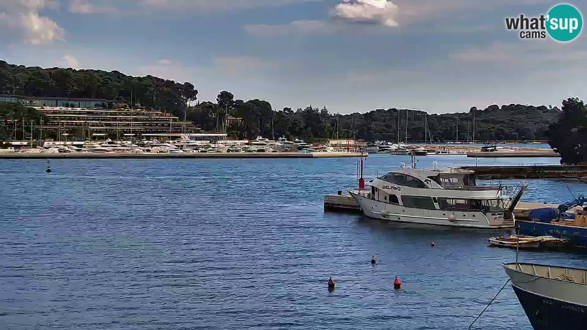 Promenade e marina en Rovinj