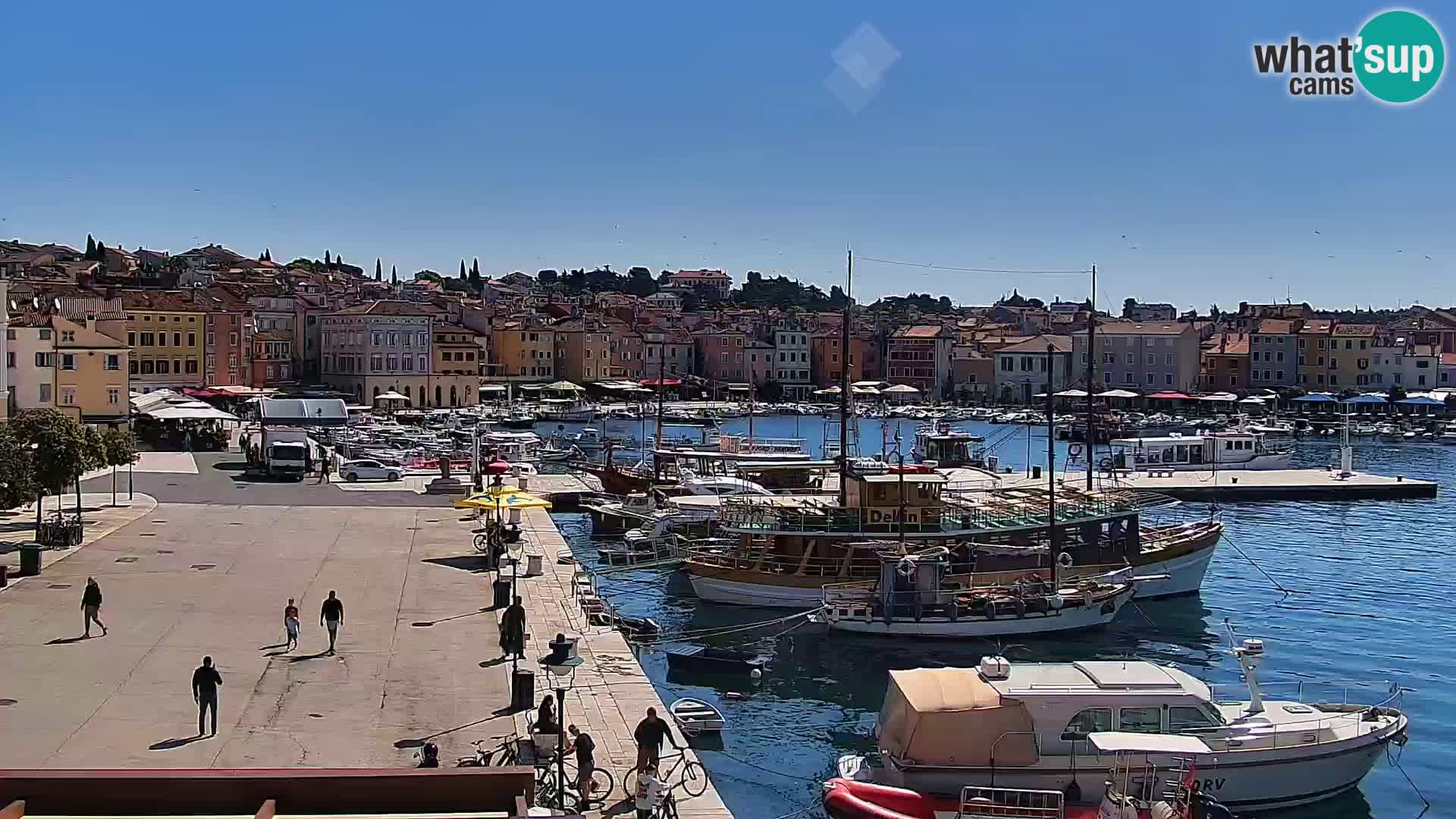 Rovinj webcam promenade and marina – Istria – Croatia