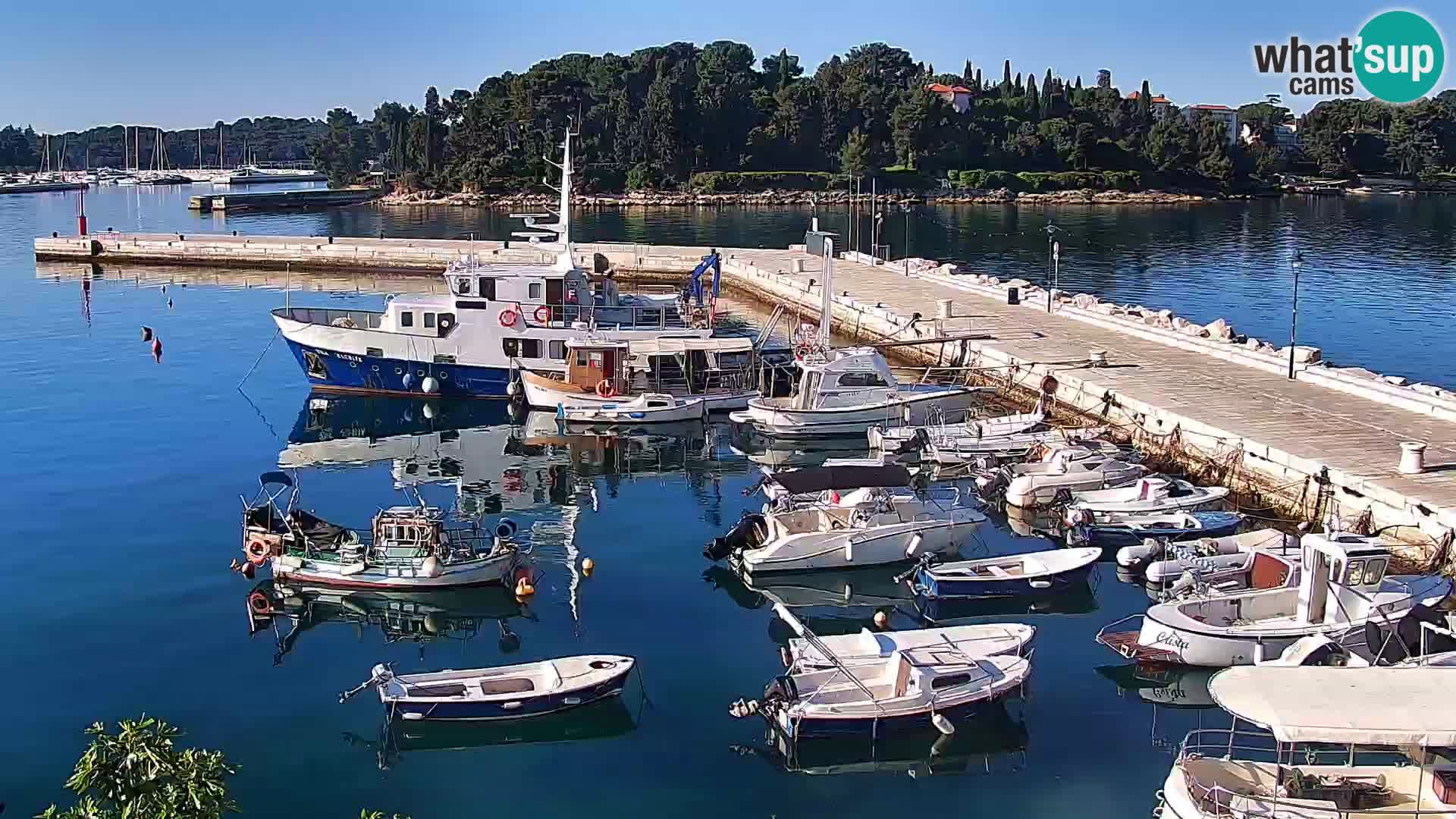 Webcam Rovigno marina | Lungomare | Rovinj Croazia