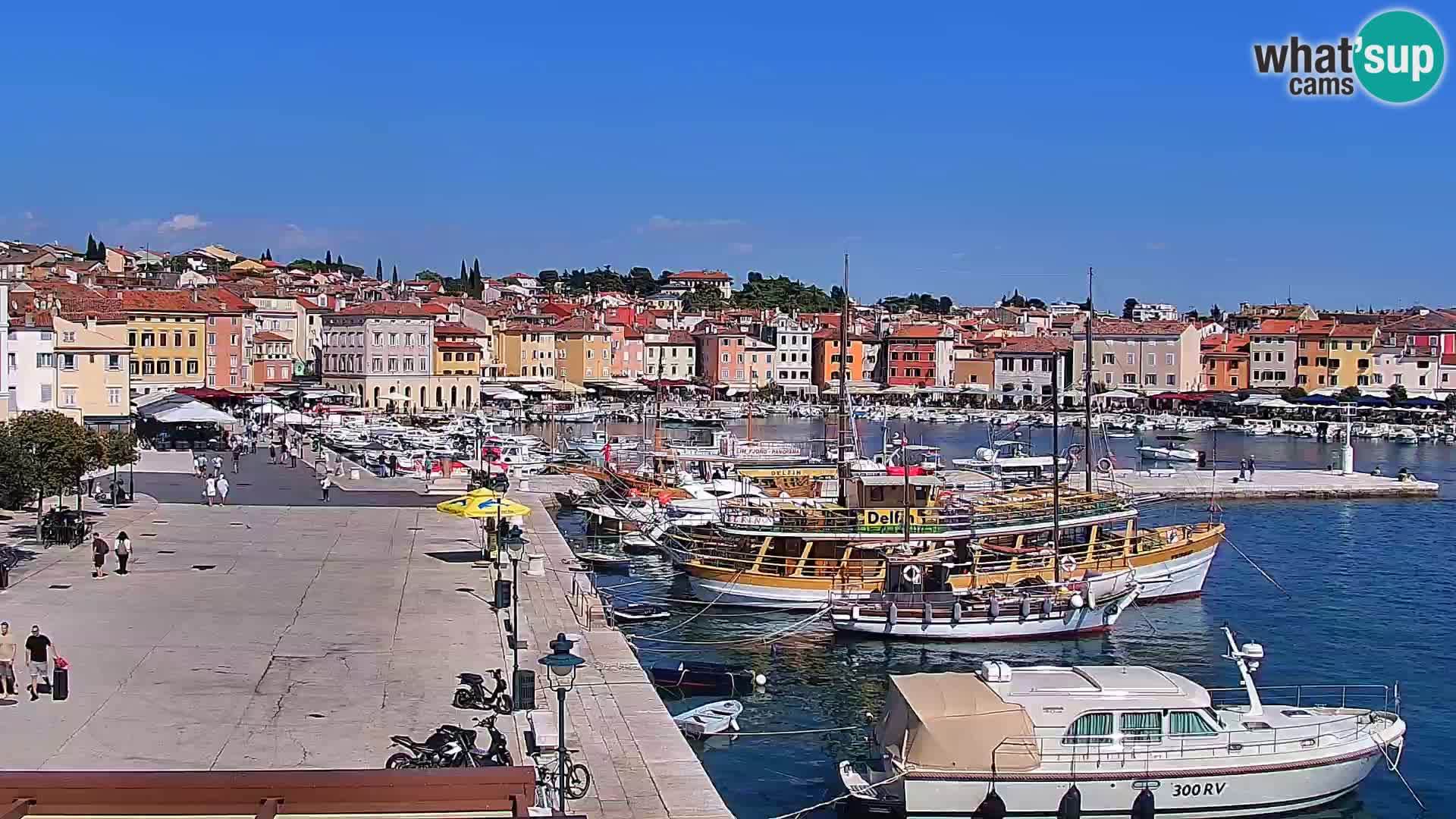 Rovinj webcam promenade and marina – Istria – Croatia
