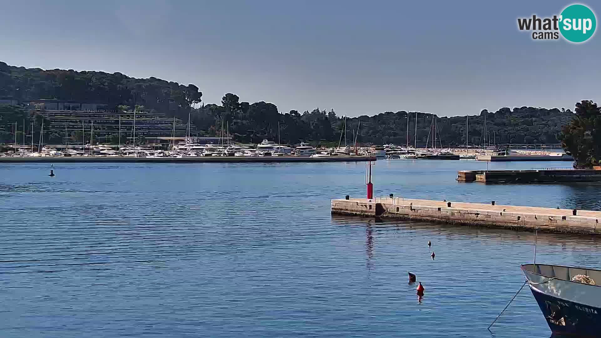 Rovinj webcam promenade and marina – Istria – Croatia