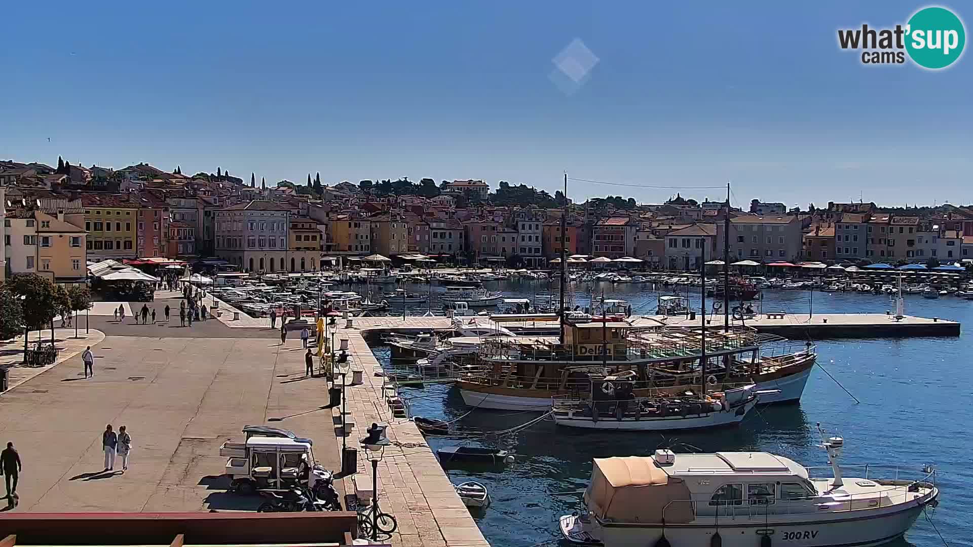 Rovinj webcam promenade and marina – Istria – Croatia