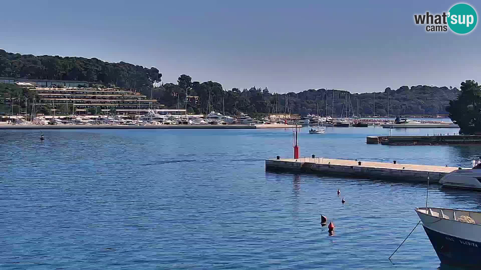 Rovinj webcam promenade and marina – Istria – Croatia
