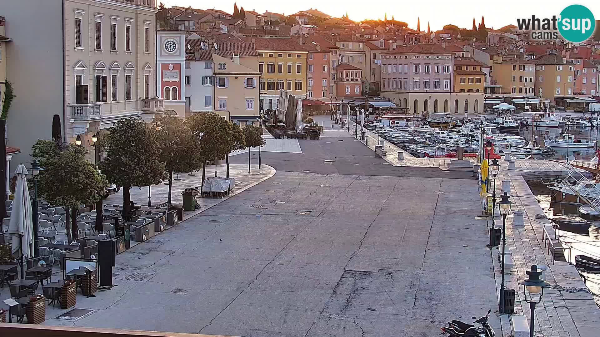 Webcam Rovigno marina | Lungomare | Rovinj Croazia