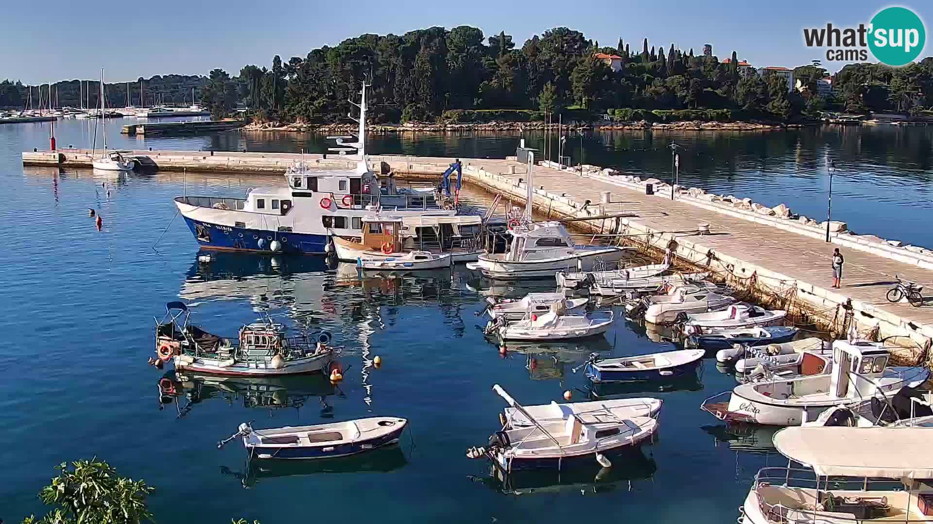 Webcam Rovinj Promenade – Istrien – Kroatien