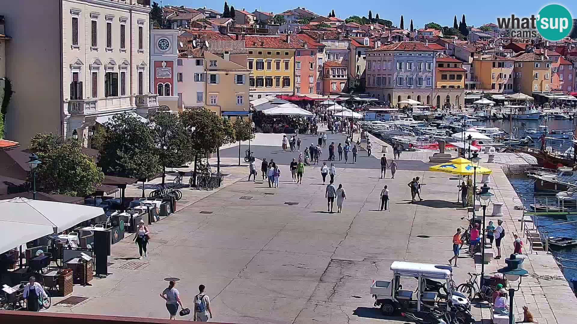 Webcam Rovigno marina | Lungomare | Rovinj Croazia
