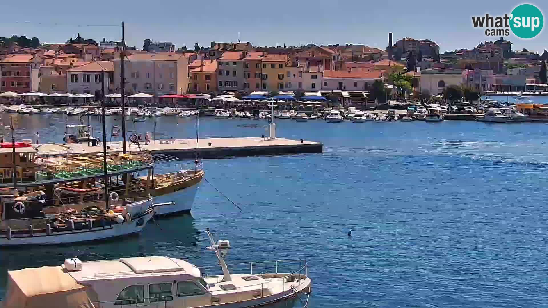 Rovinj webcam promenade and marina – Istria – Croatia