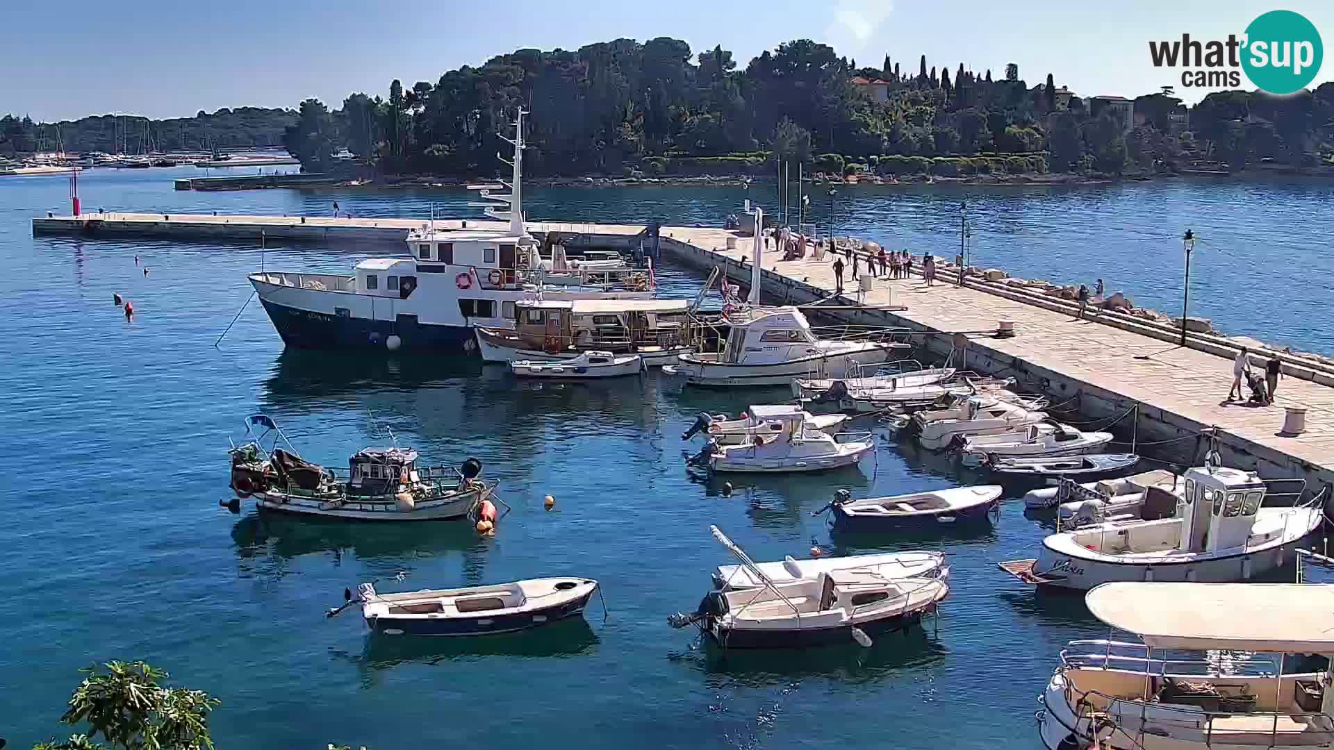 Spletna kamera Rovinj promenada in marina | Rovinj Vreme