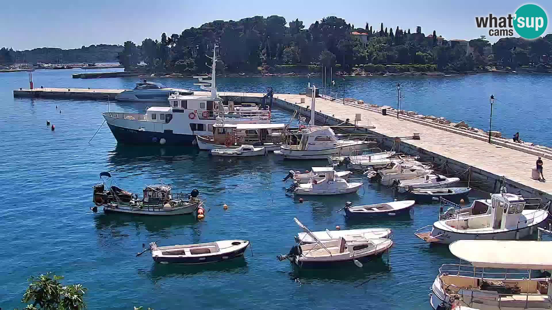 Spletna kamera Rovinj promenada in marina | Rovinj Vreme