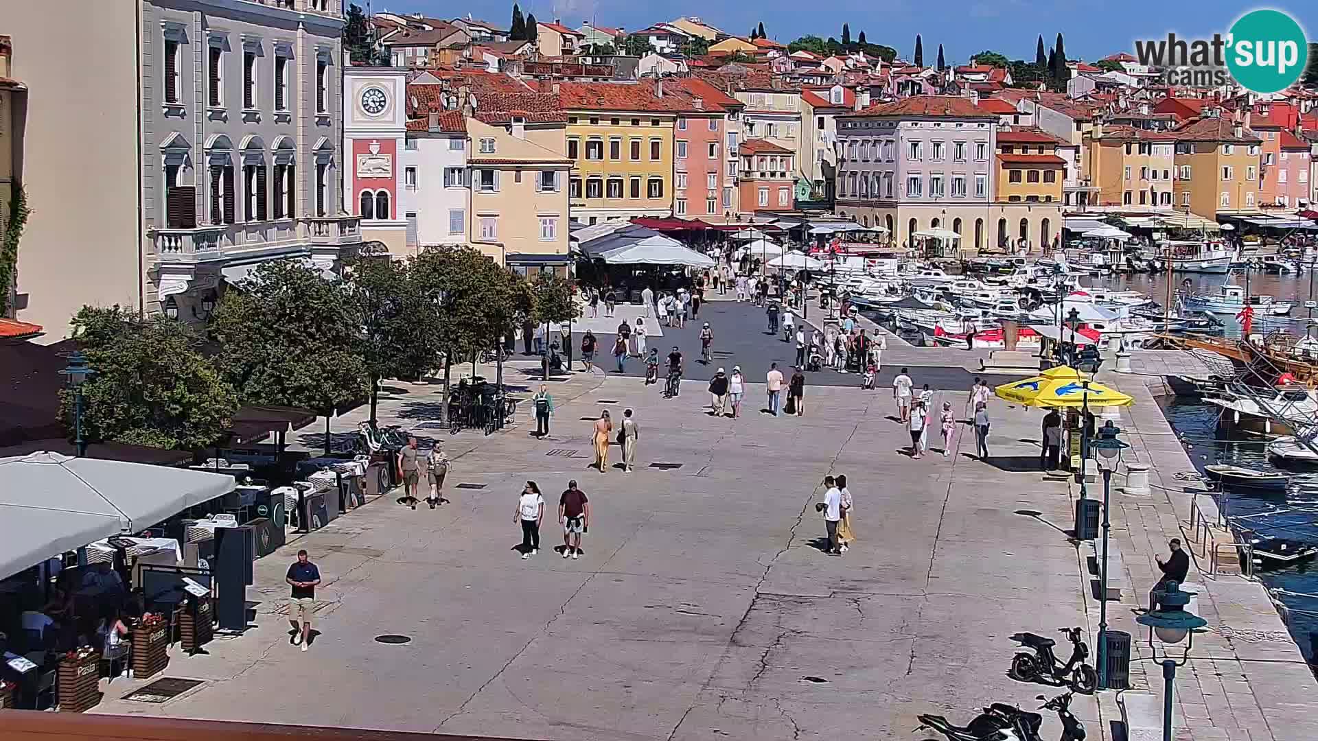 Rovinj webcam promenade and marina – Istria – Croatia