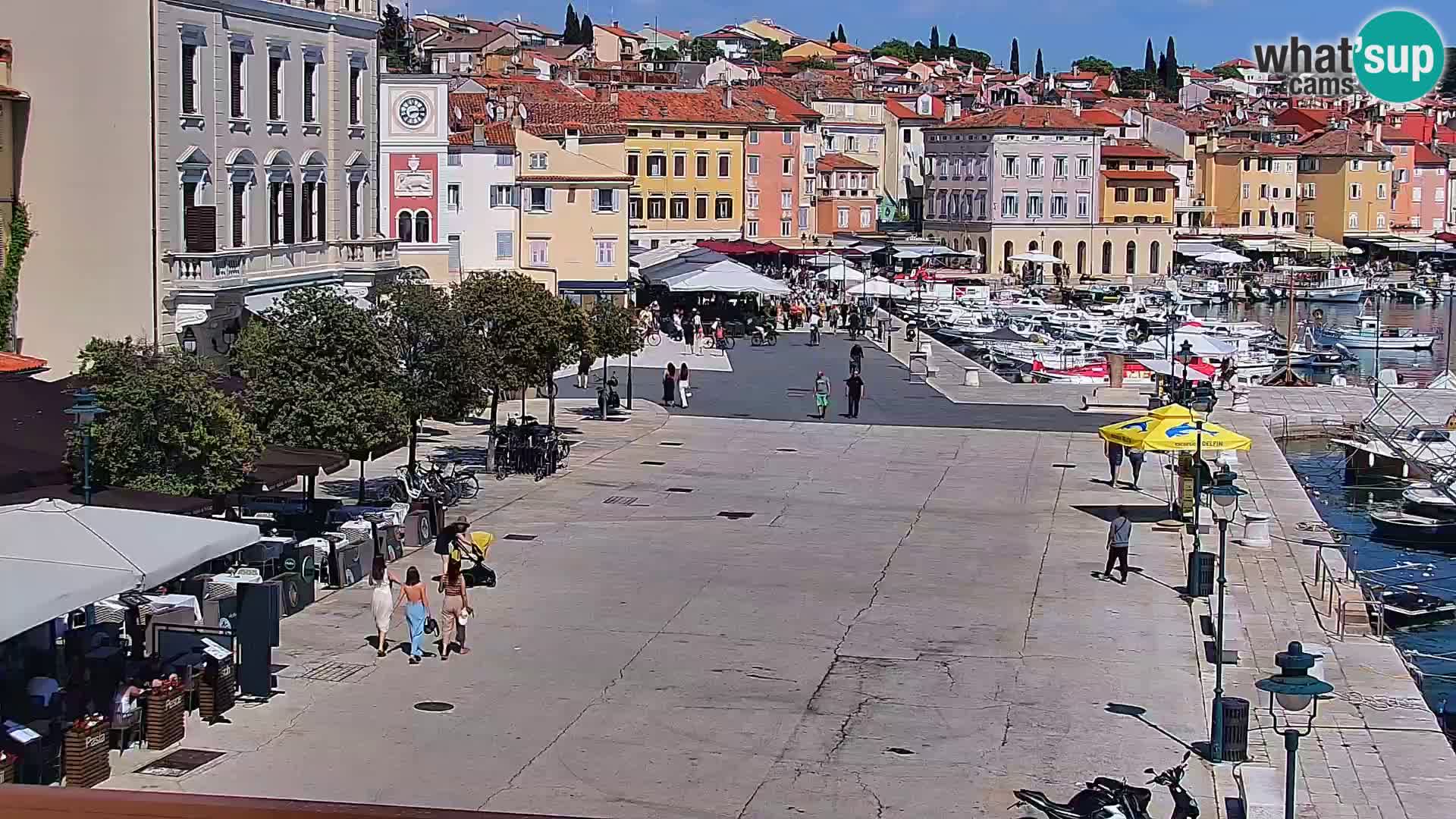 Webcam Rovigno marina | Lungomare | Rovinj Croazia