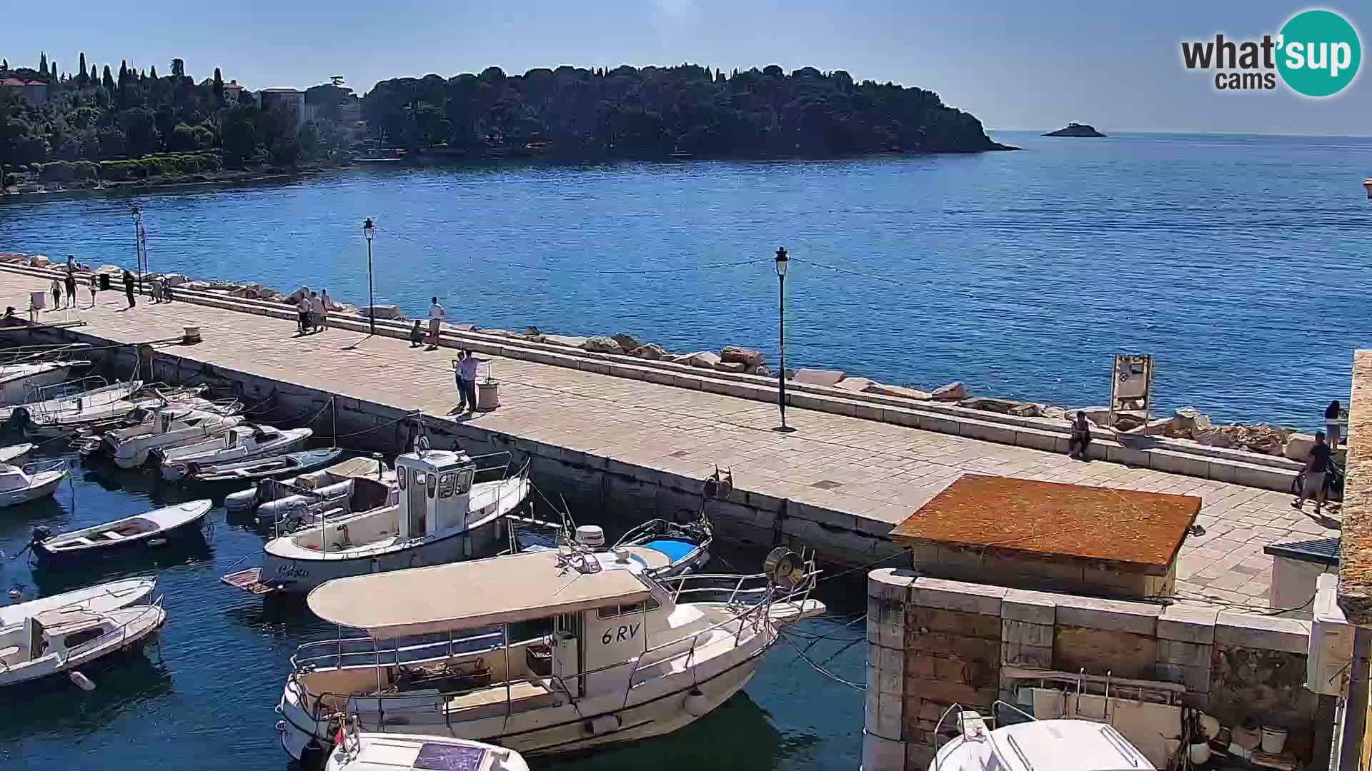 Rovinj webcam promenade and marina – Istria – Croatia