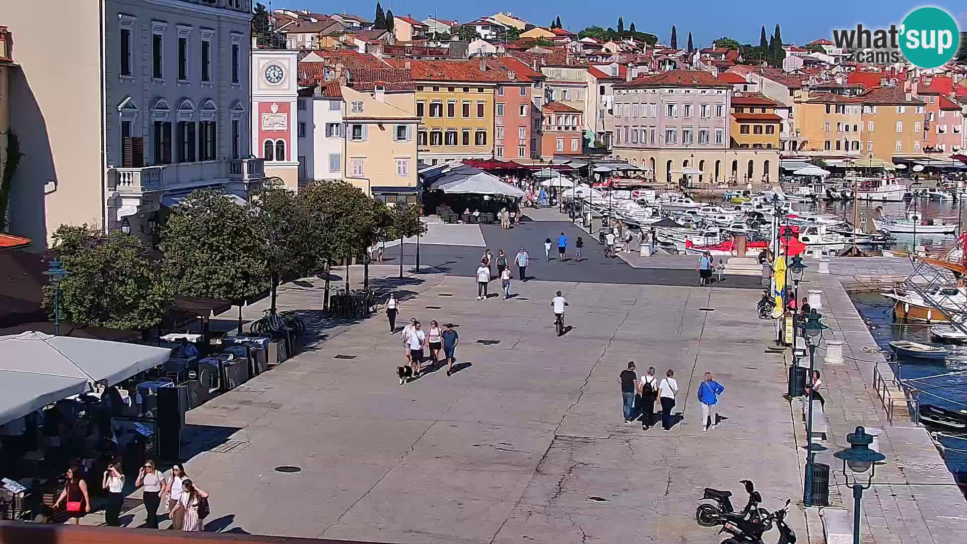 Promenade e marina en Rovinj