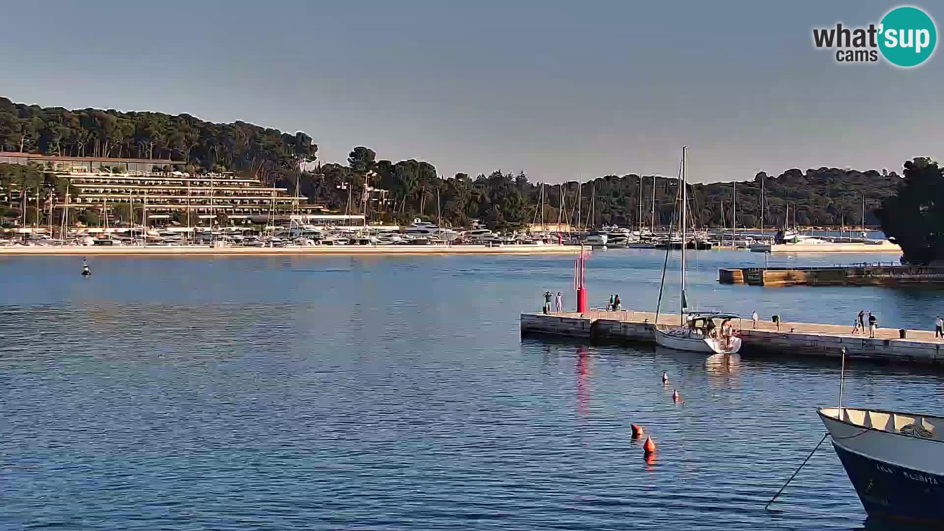 Webcam Rovigno marina | Lungomare | Rovinj Croazia