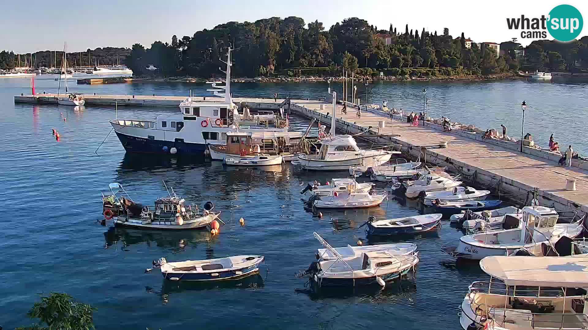 Rovinj webcam promenade and marina – Istria – Croatia