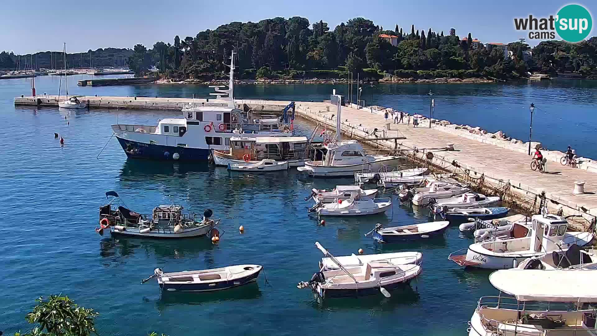 Spletna kamera Rovinj promenada in marina | Rovinj Vreme