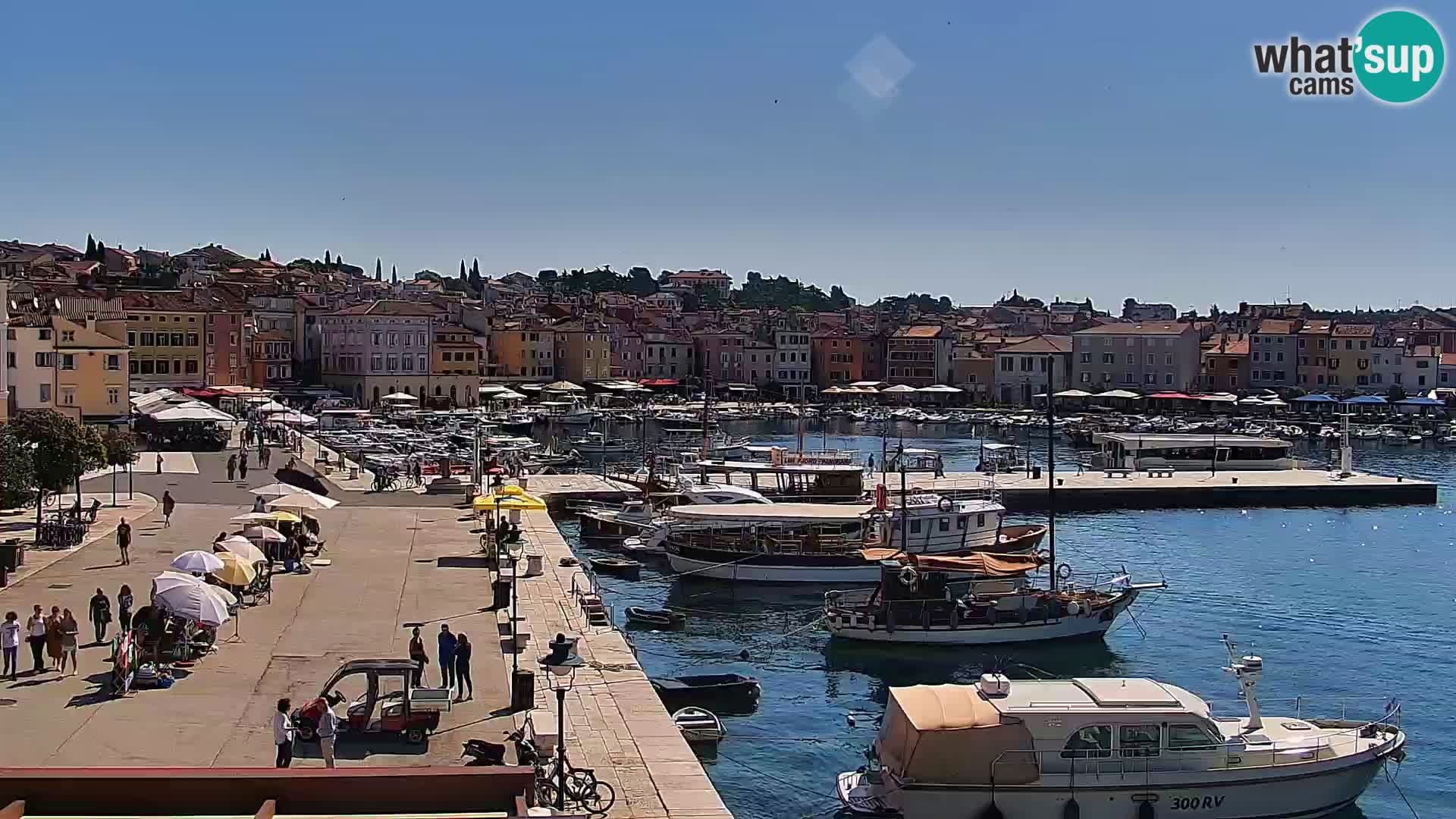 Rovinj webcam promenade and marina – Istria – Croatia
