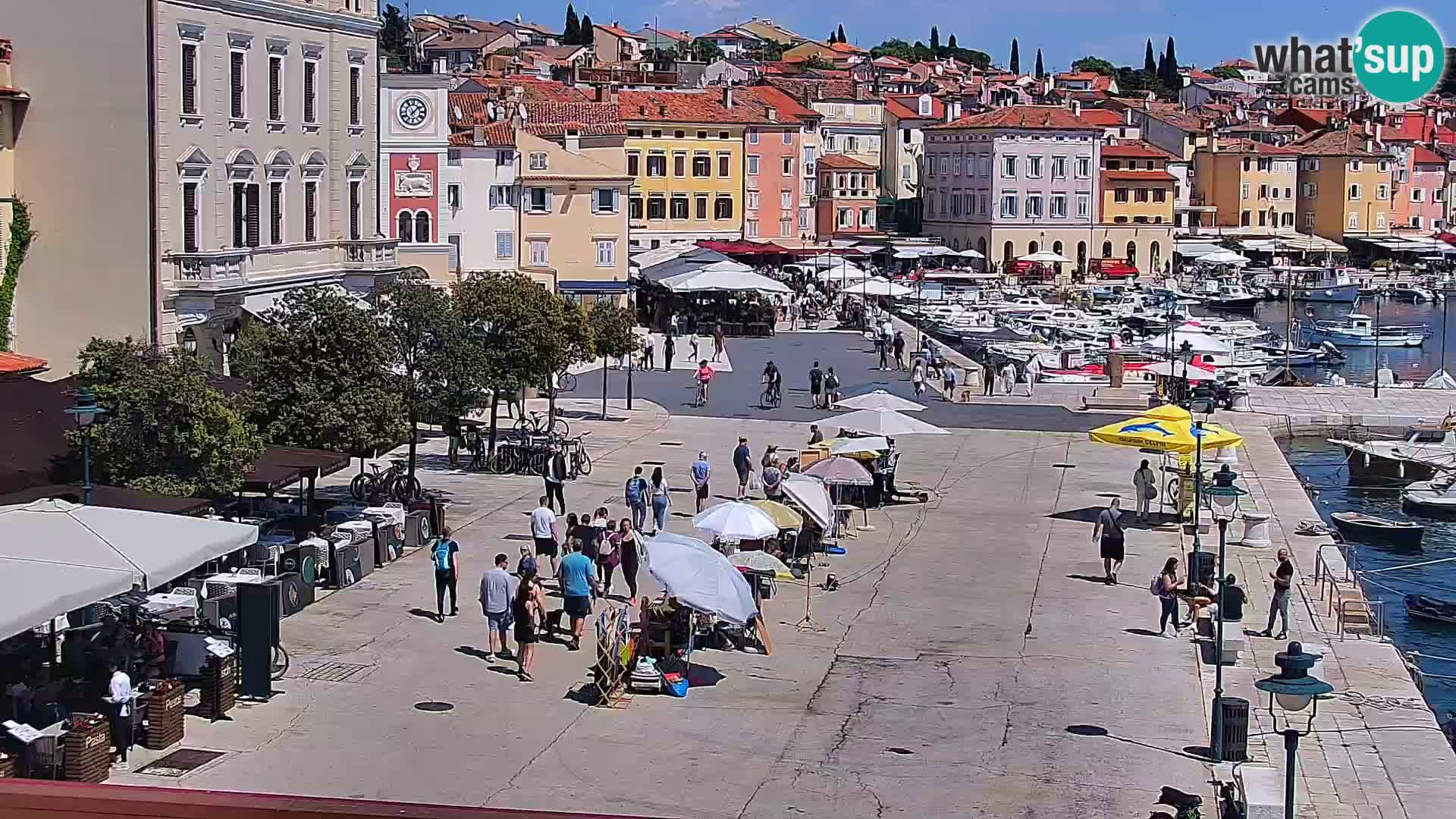 Rovinj webcam promenade and marina – Istria – Croatia