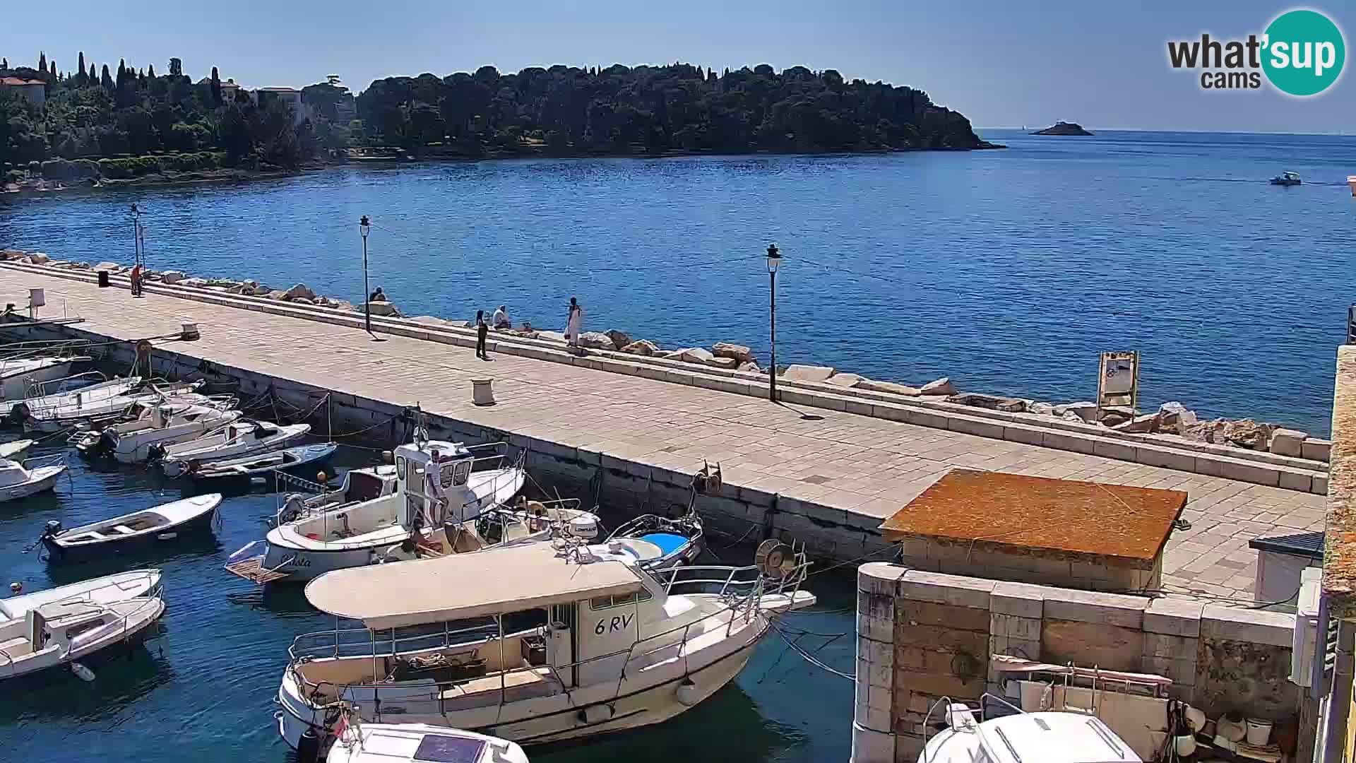 Rovinj webcam promenade and marina – Istria – Croatia