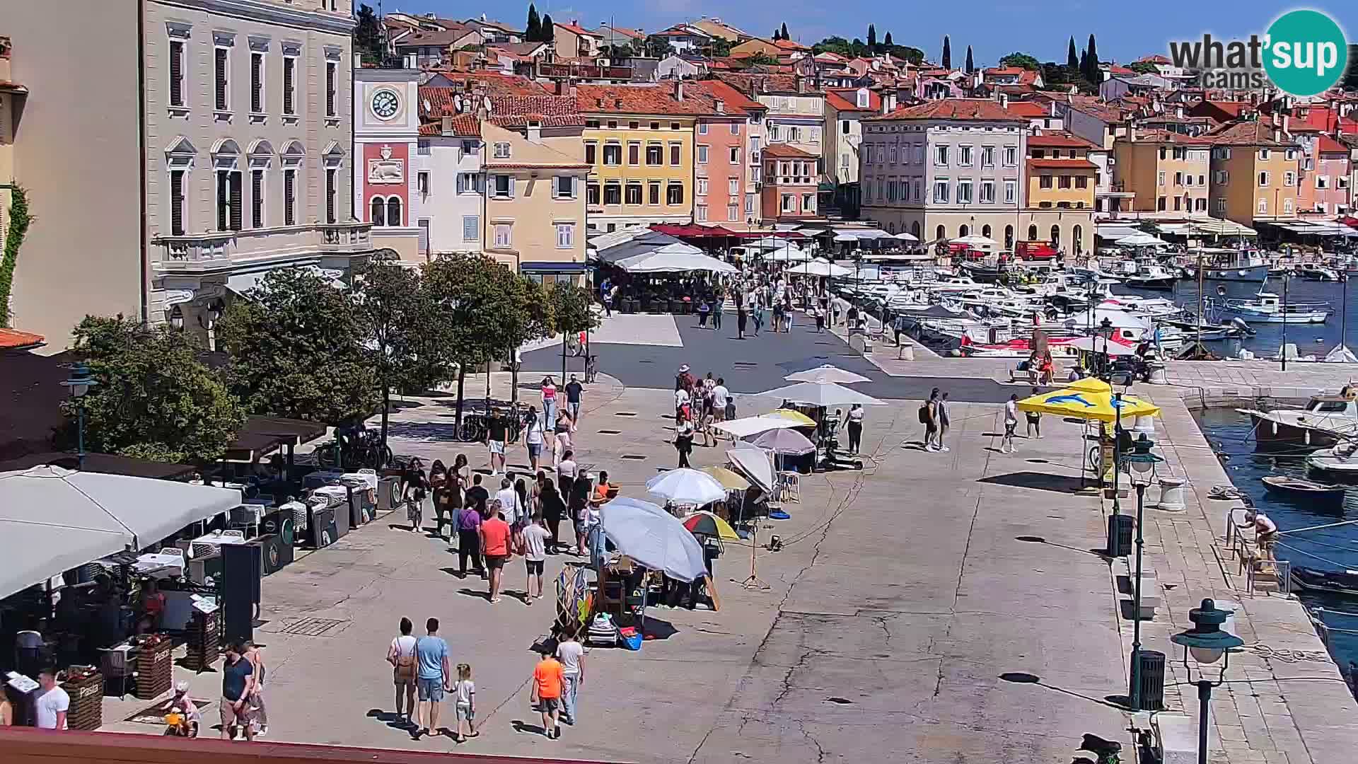 Rovinj webcam promenade and marina – Istria – Croatia