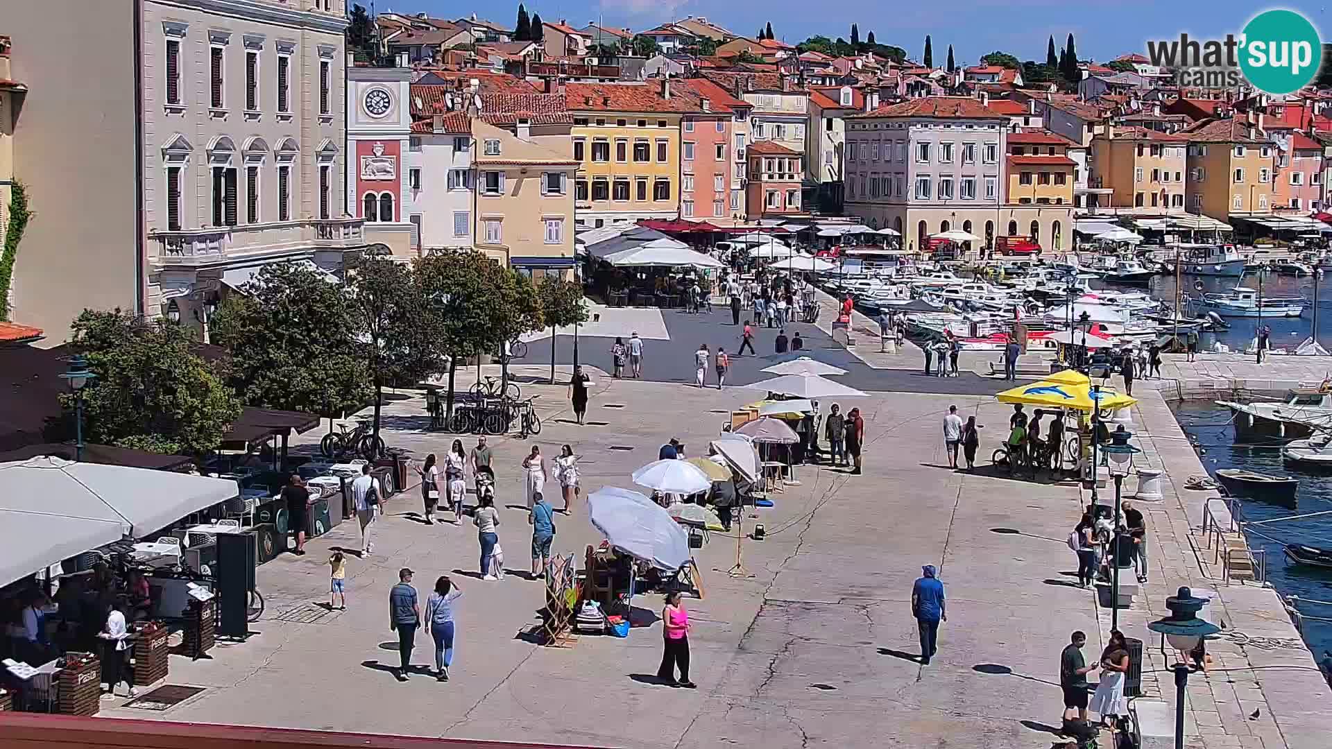 Rovinj webcam promenade and marina – Istria – Croatia