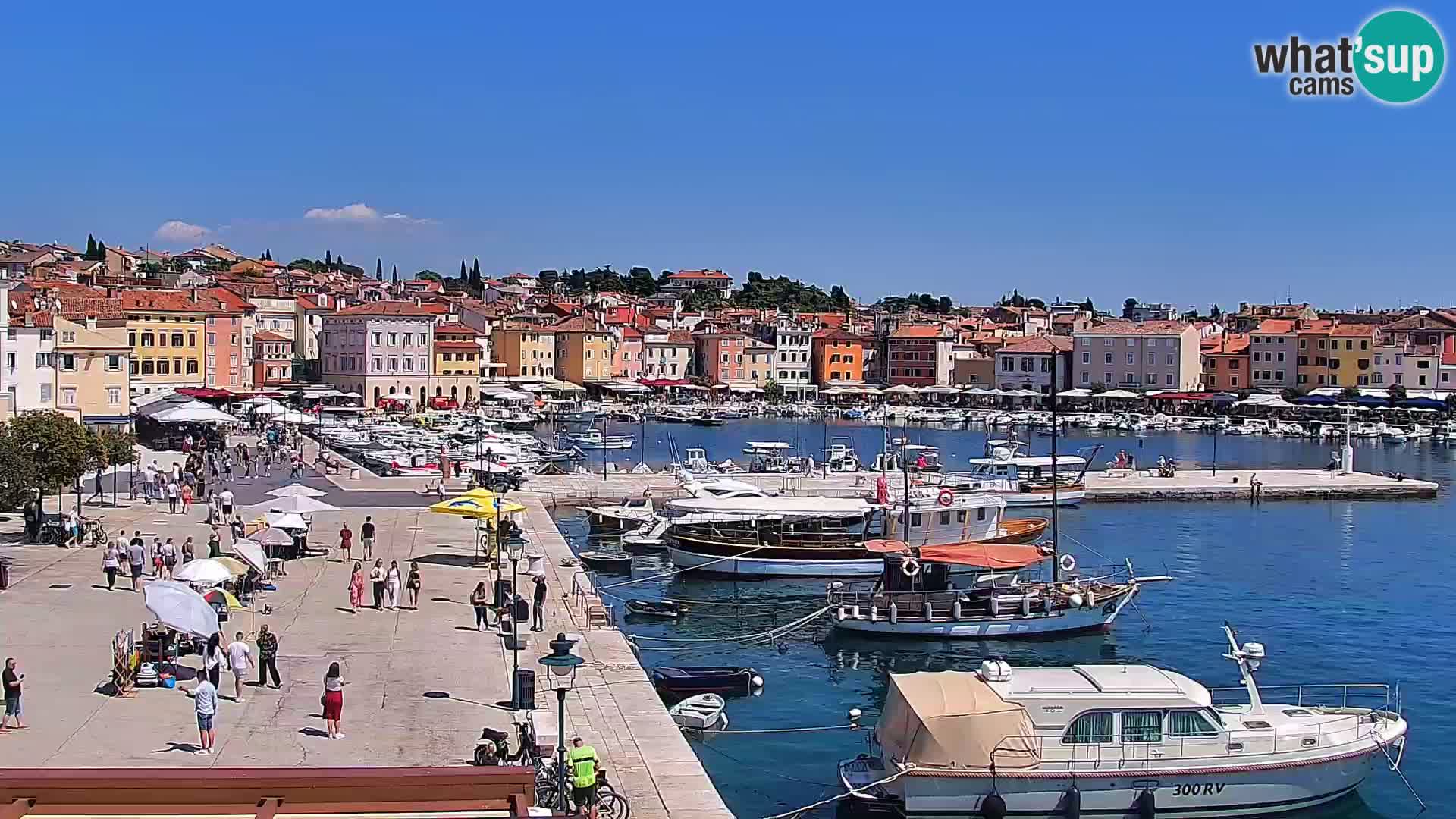 Webcam Rovigno marina | Lungomare | Rovinj Croazia