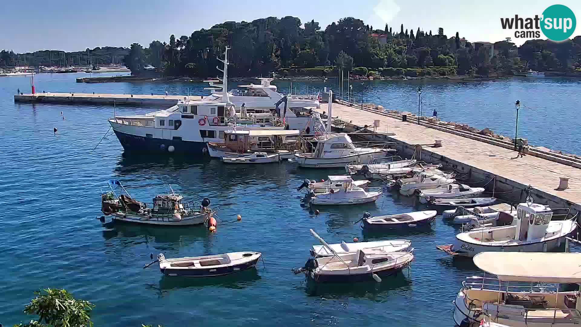 Promenade e marina en Rovinj