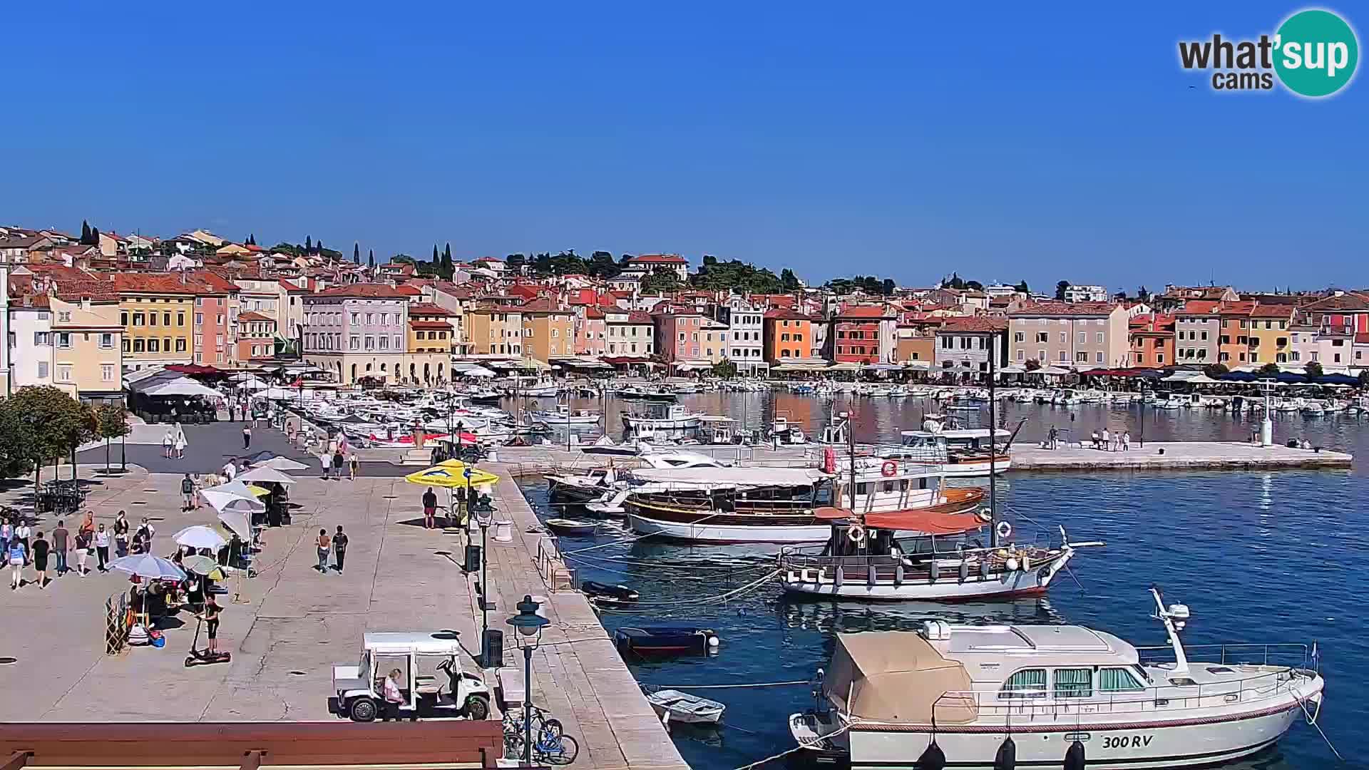 Promenade e marina en Rovinj