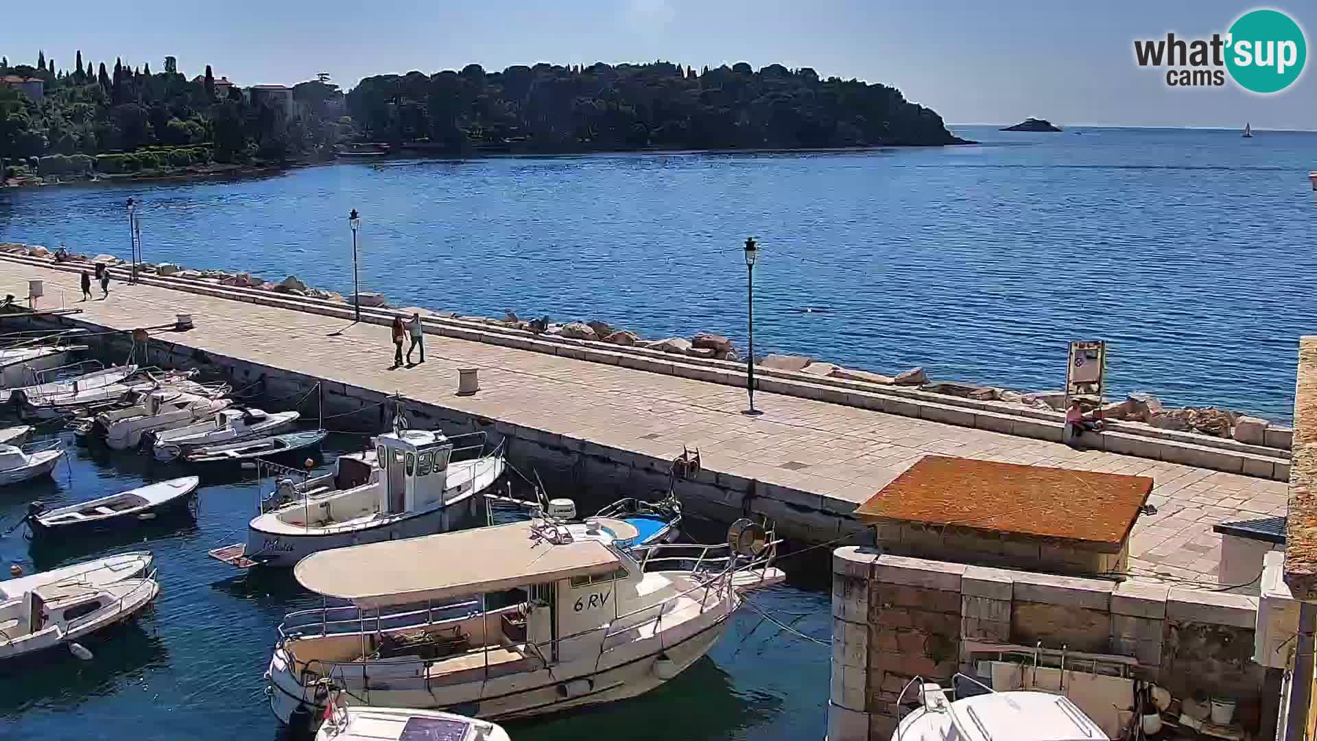 Rovinj webcam promenade and marina – Istria – Croatia