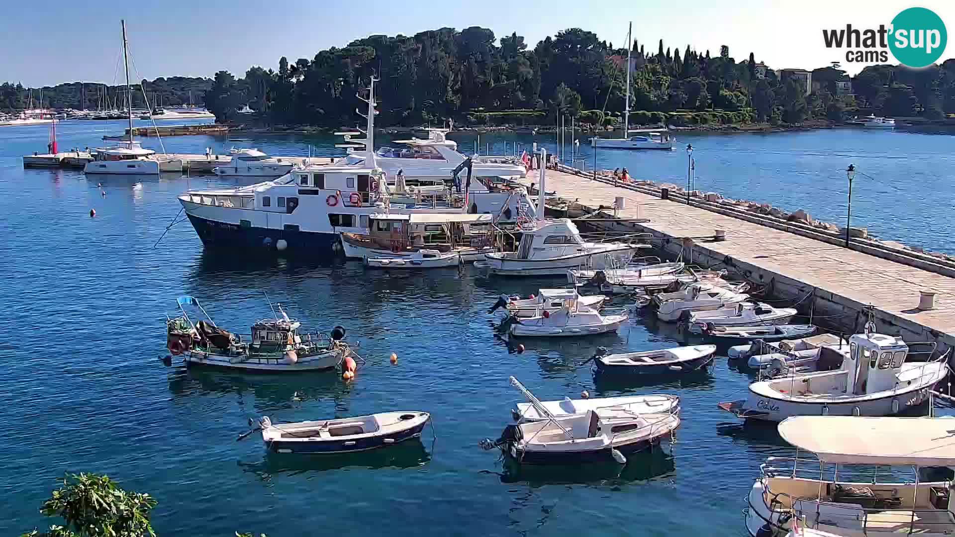 Rovinj webcam promenade and marina – Istria – Croatia