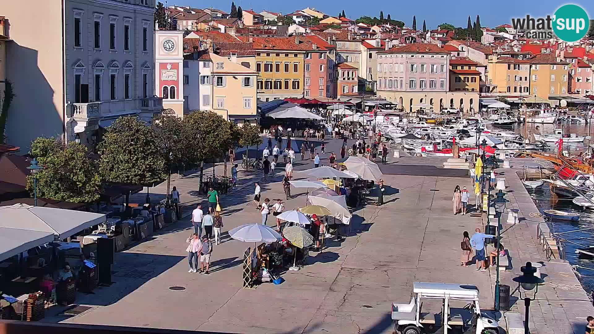 Rovinj webcam promenade and marina – Istria – Croatia