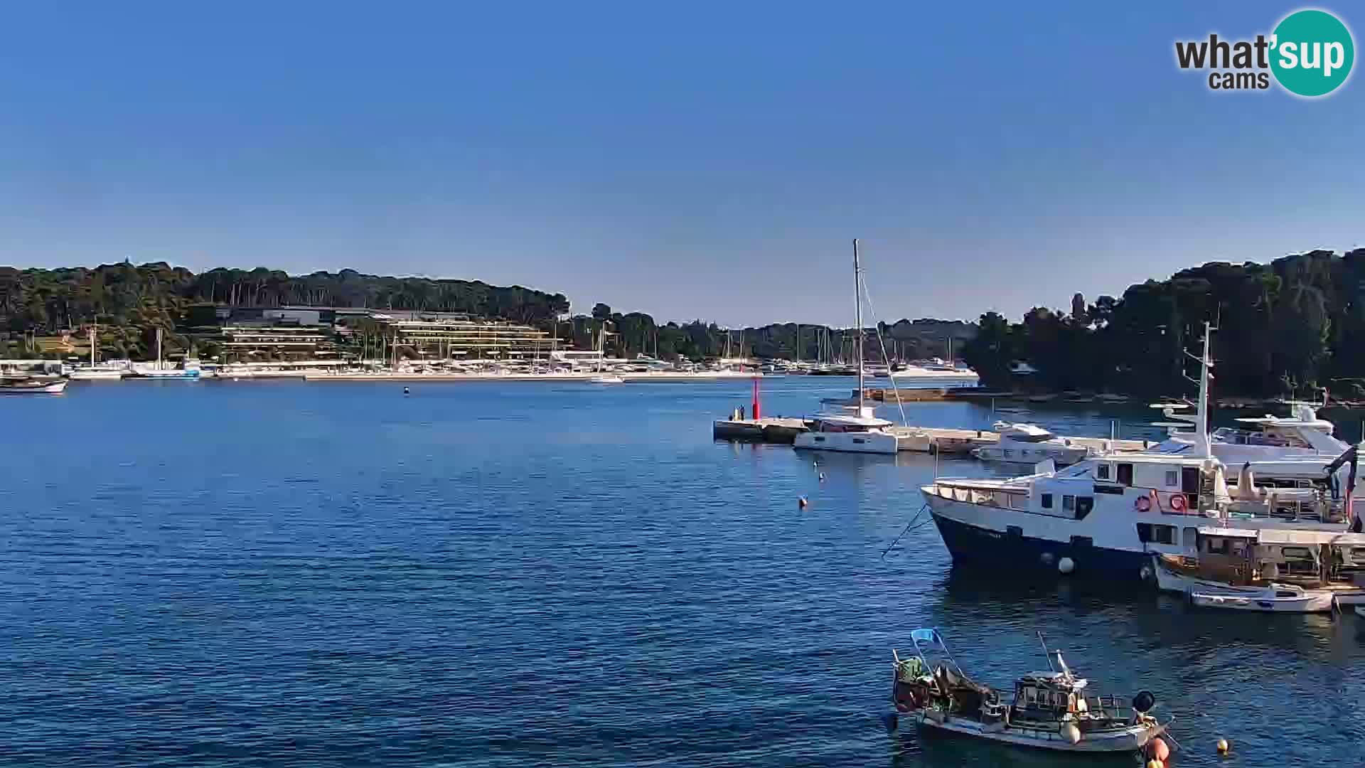 Rovinj webcam promenade and marina – Istria – Croatia