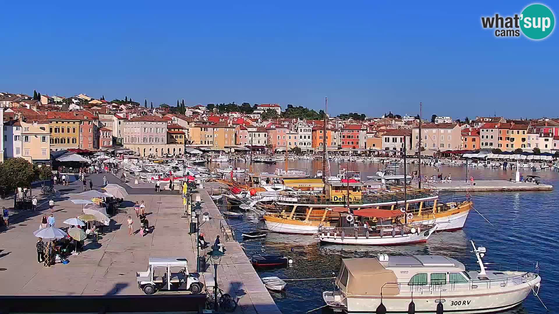 Webcam Rovigno marina | Lungomare | Rovinj Croazia