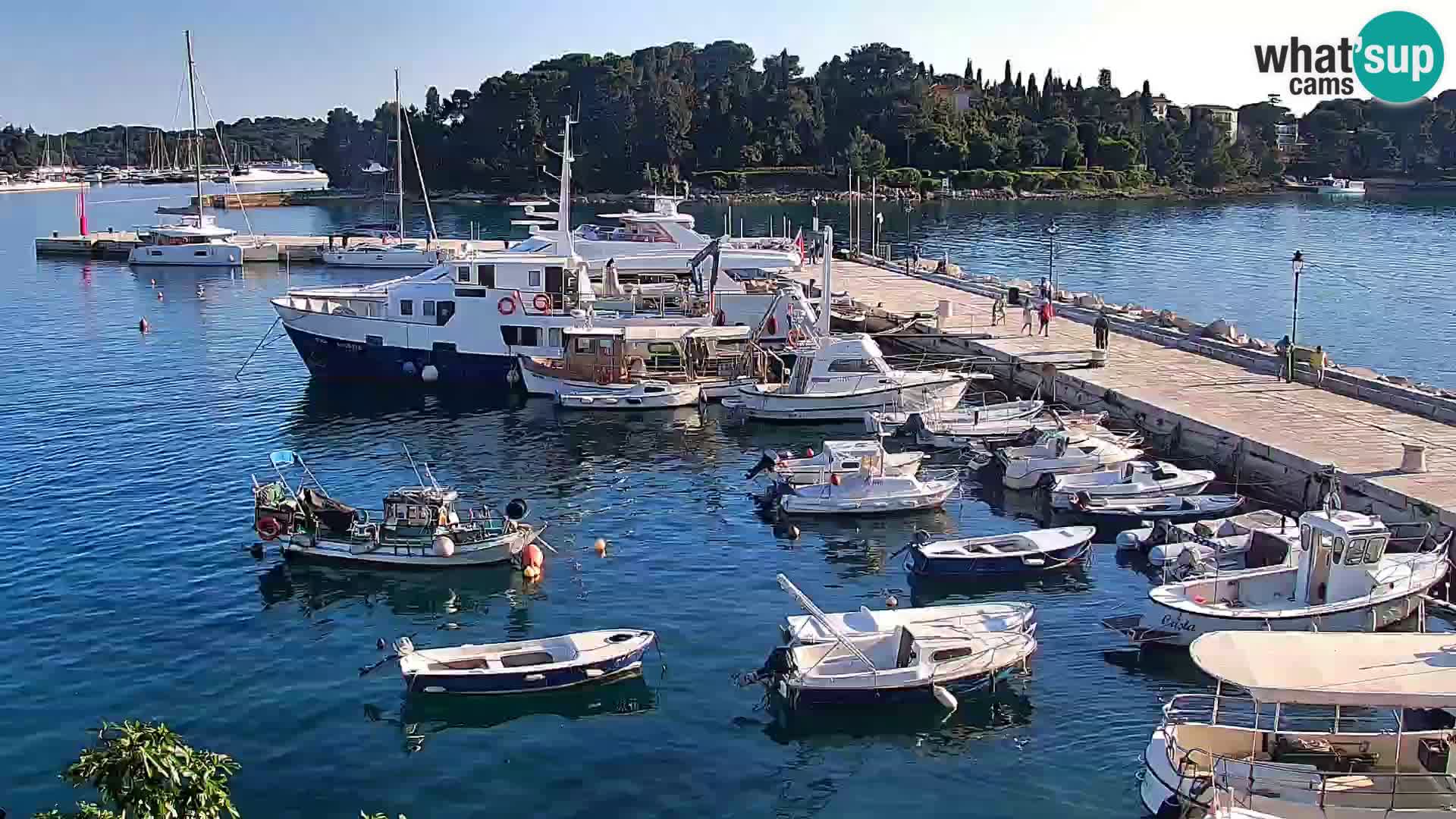 Promenada i marina u Rovinju