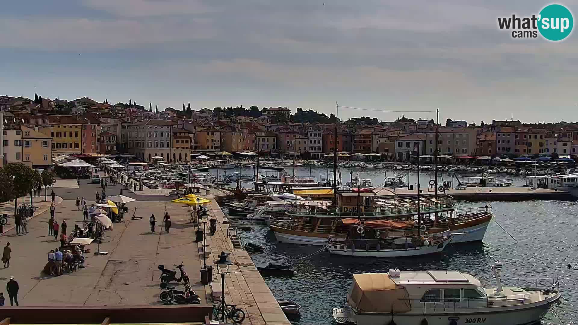 Webcam Rovigno marina | Lungomare | Rovinj Croazia
