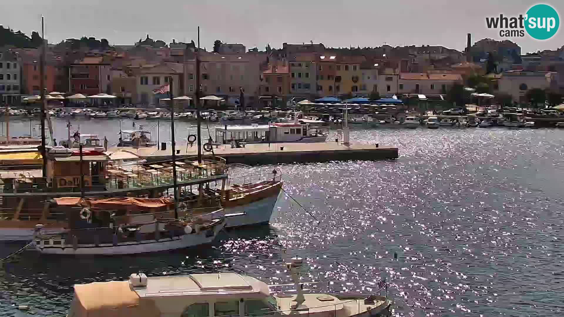 Promenade und marina in Rovinj webcam – Istrien – Kroatien
