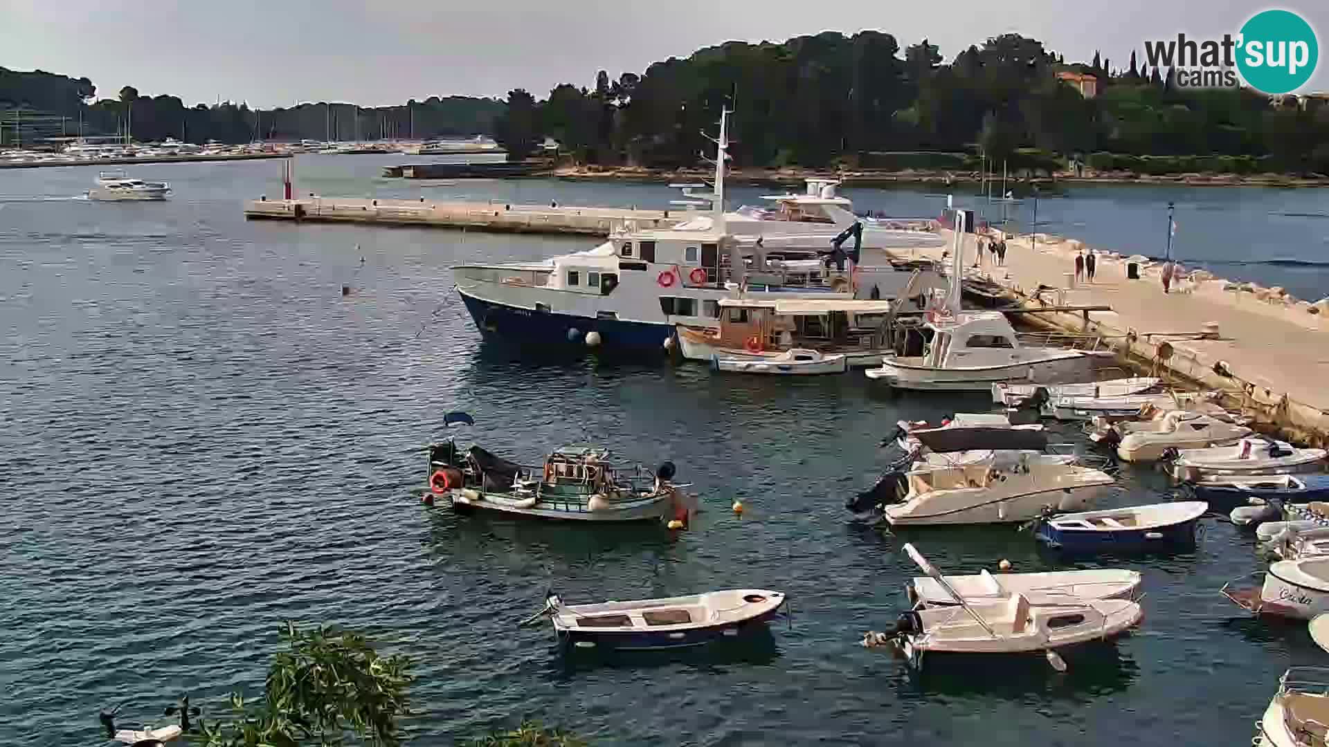 Rovinj webcam promenade and marina – Istria – Croatia